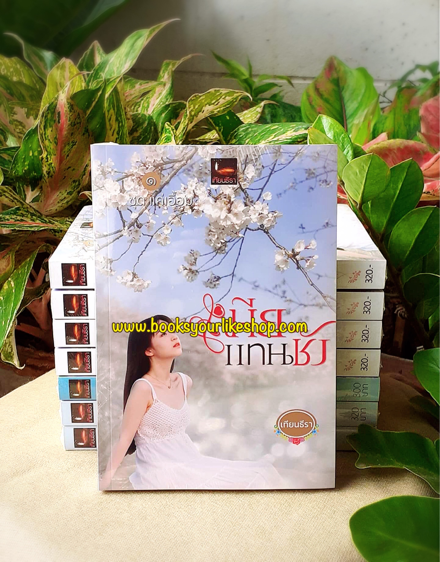 เมียแทนชัง,ซีรี่ย์ แค่เอื้อม ลำดับที่ 1,ผู้แต่ง,เทียนธีรา,นิยายทำมือ,รักโรแมนติก