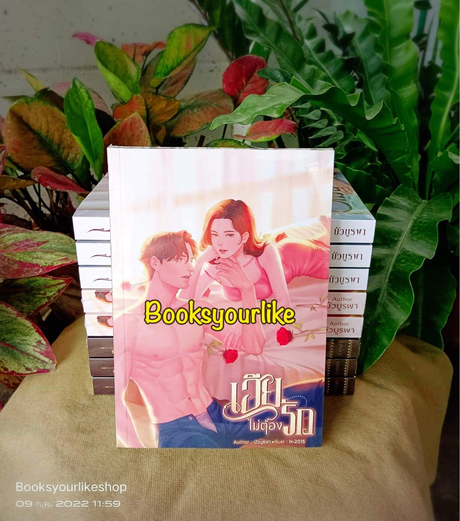 เฮียไม่ต้องรัก,ผู้แต่ง,บัวบูรพา,นิยายรักทำมือสนุกแนะนำค่ะ
