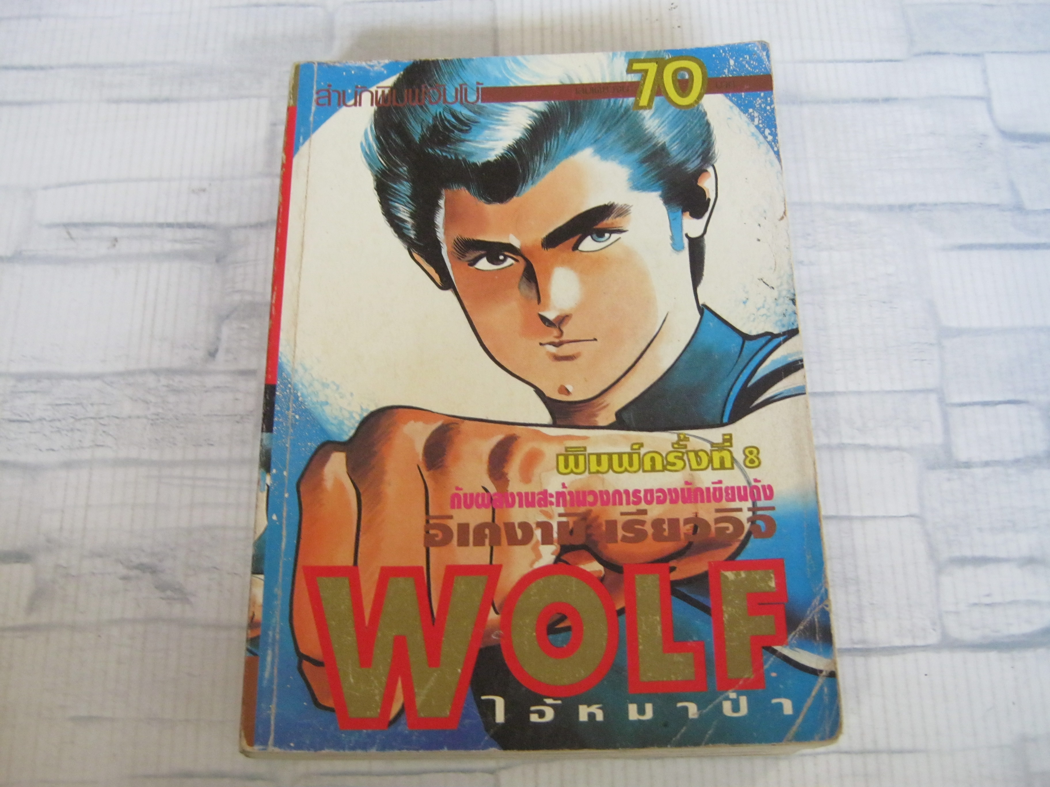 WOLF ไอ้หมาป่า เล่มเดียวจบ อิเคงามิ เรียวอิจิ เขียน***สินค้าหมด***