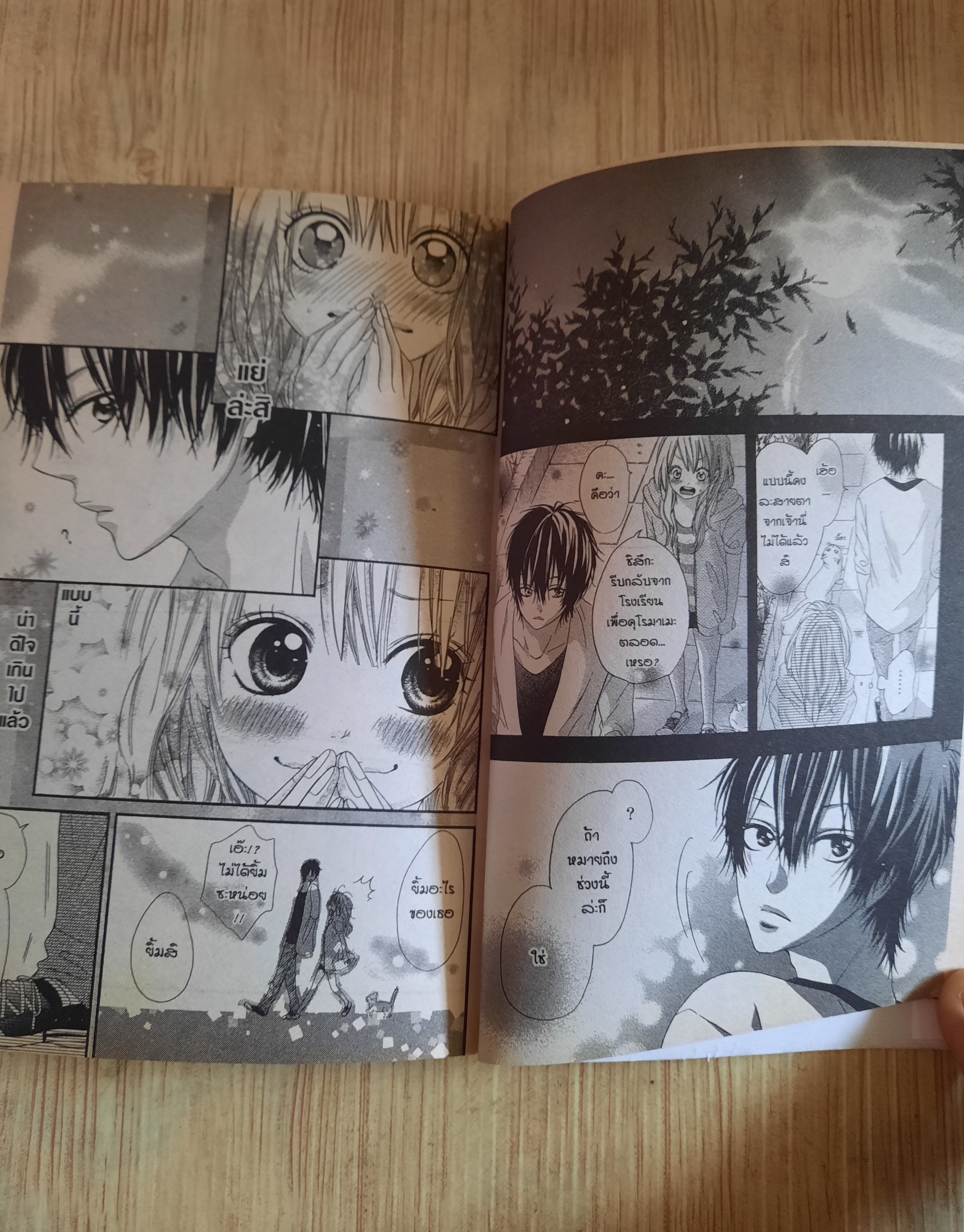 หลงรักนายเจ้าชายปริศนา ครบฃุด 2 เล่มจบ Yukimo Hoshimori เขียน