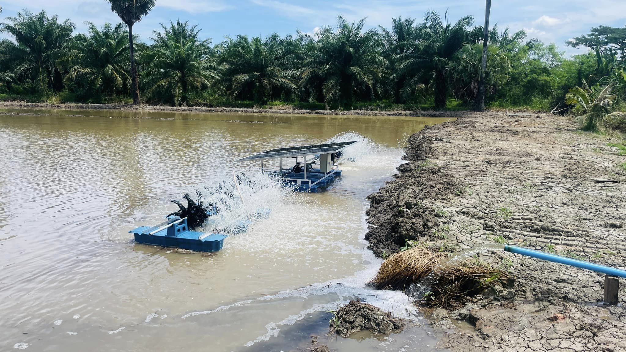 ชุดกังหันตีน้ำพลังงานแสงอาทิตย์ 12 ใบพัด 1 HP (รุ่นพิเศษ) พร้อมใช้งาน จัดส่งทั่วประเทศ