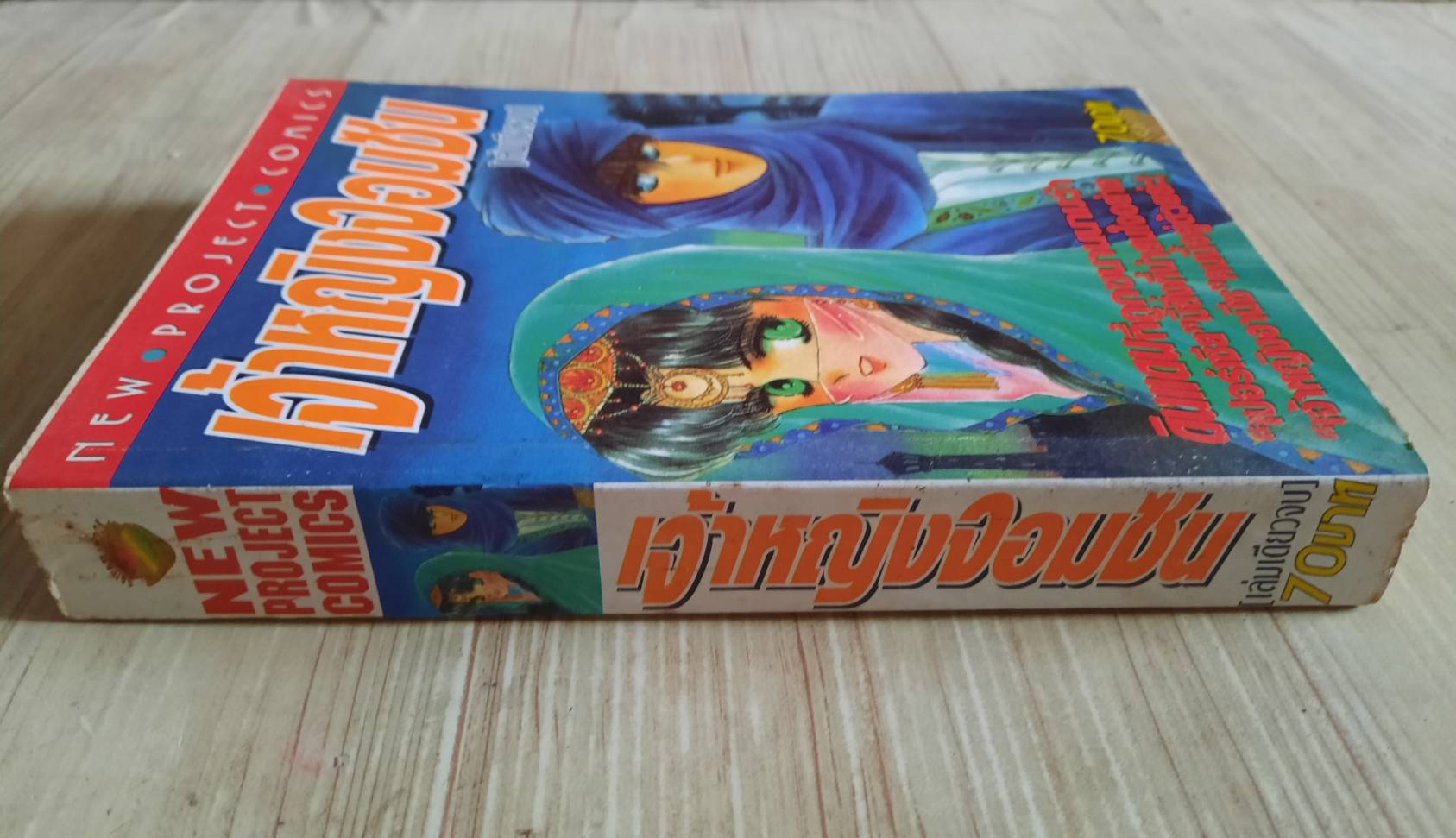 เจ้าหญิงจอมซน เล่มเดียวจบ