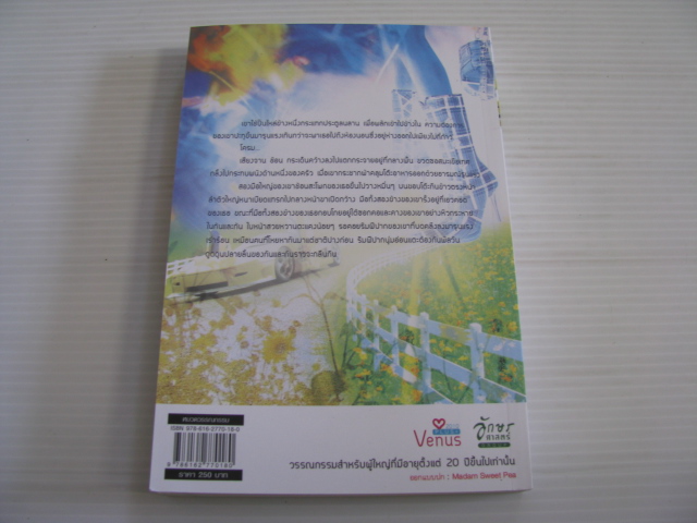 ถนนสายพิศวาส กาสะลอง เขียน