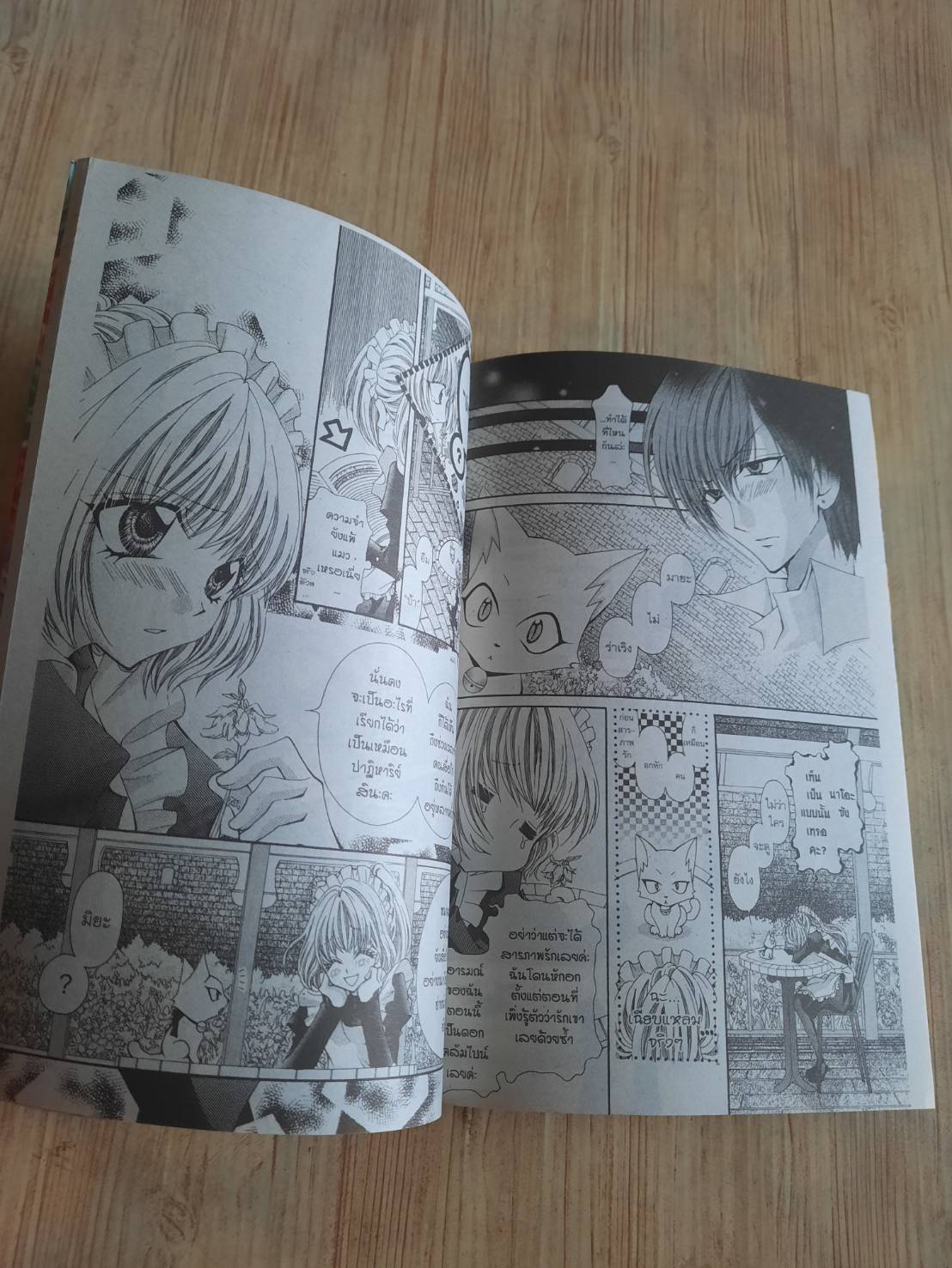 สวนดอกไม้มหัศจรรย์ เล่มเดียวจบ Kazue Takeuchi เขียน***สินค้าหมด***