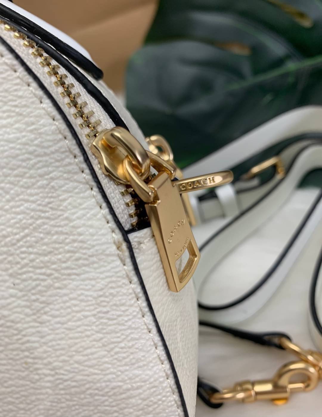 COACH SERENA SATCHEL CROSSBODY BAG กระเป๋าทรงโดมเล็ก น่ารัก แต่ใส่ของได้จุเลยทีเดียว!! มี2ช่องซิปหลัก ช่องค่อนข้างกว้าง สามารถใส่กระเป๋าเงินใบกลางได้;ของจำเป็นอื่นๆได้ครบเลยค่ะ มีช่องเล็กให้ใส่ของจุกจิก ด้านหลังมีช่องเล็กให้อีกช่องค่ะ พร้อมสายยาวถอดออกได้