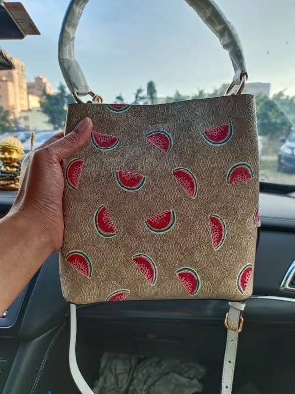 OUTTLET 】COACH SMALL TOWN BUCKET BAG IN SIGNATURE CANVAS WITH WATERMELON PRINT