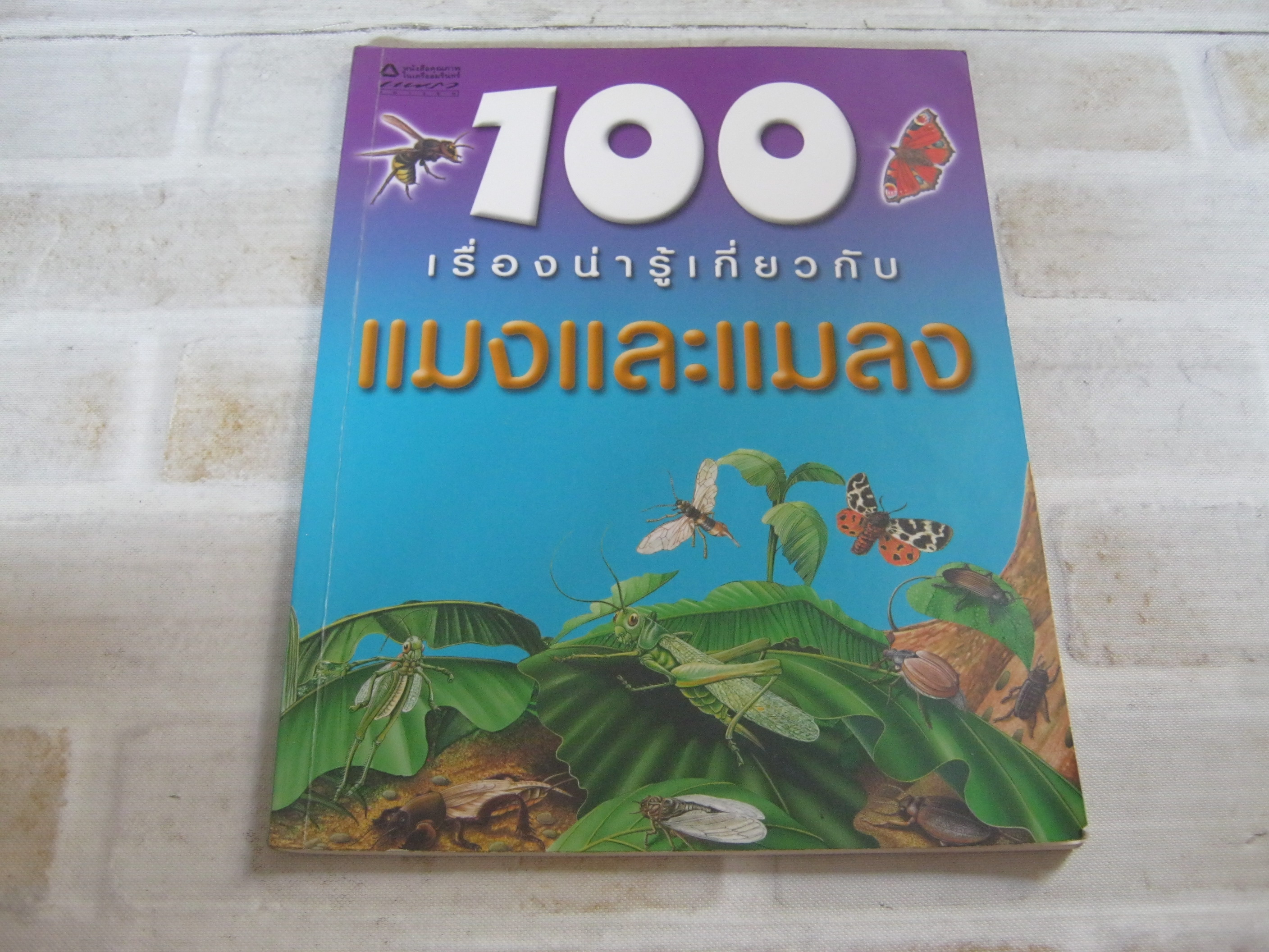 100 เรื่องน่ารู้เกี่ยวกับแมงและแมลง สตีฟ พาร์คเกอร์ เรื่อง ชวธีร์ รัตนดิลก ณ ภูเก็ต แปล***สินค้าหมด***