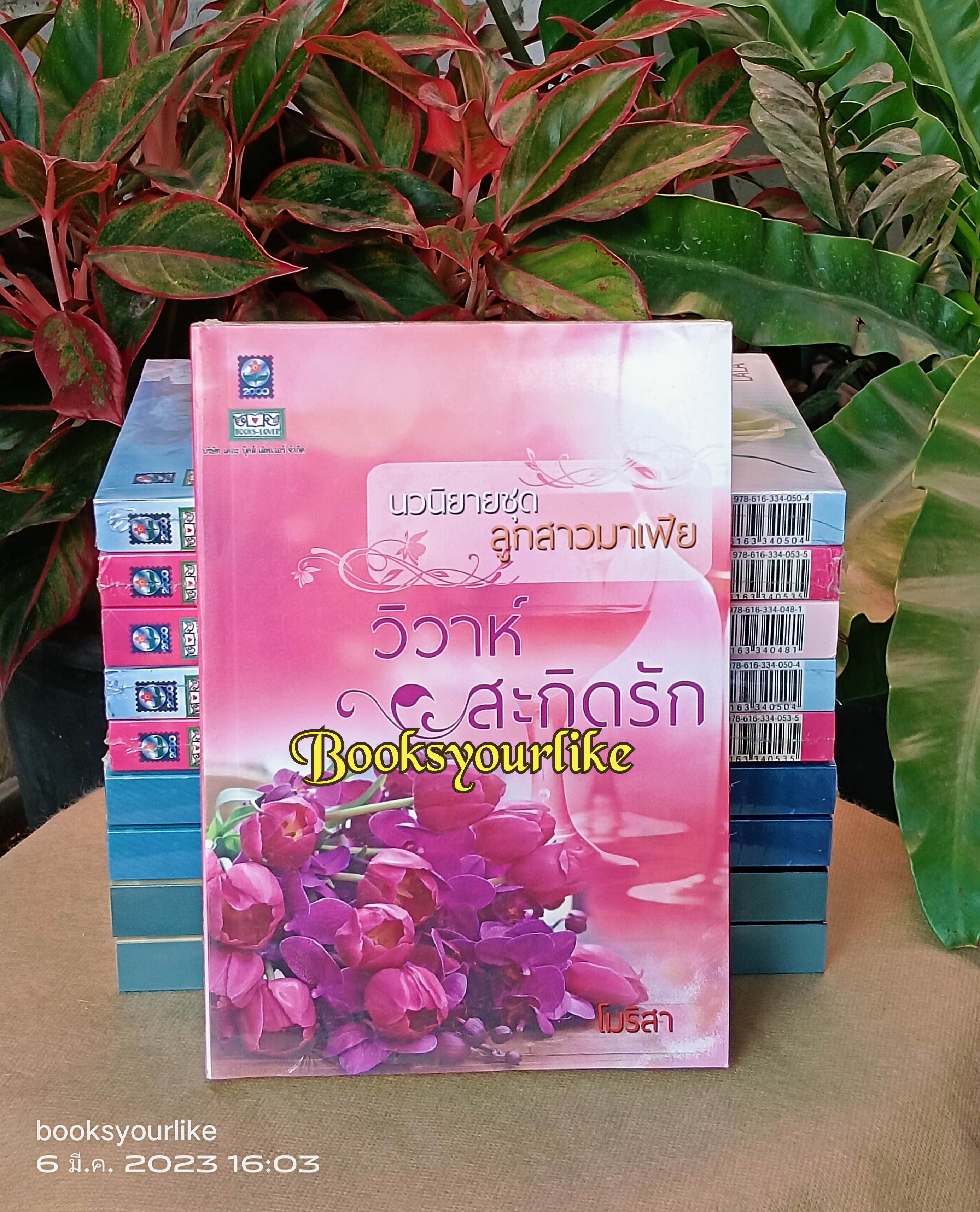 โปรส่งฟรี ลูกสาวมาเฟีย สนพ.ดอกหญ้า วิวาห์บัญชา ฝันหวาน วิวาห์อาวรณ์ LALA วิวาห์สะกิดรัก โมริสา หนังสือใหม่ ในซีล