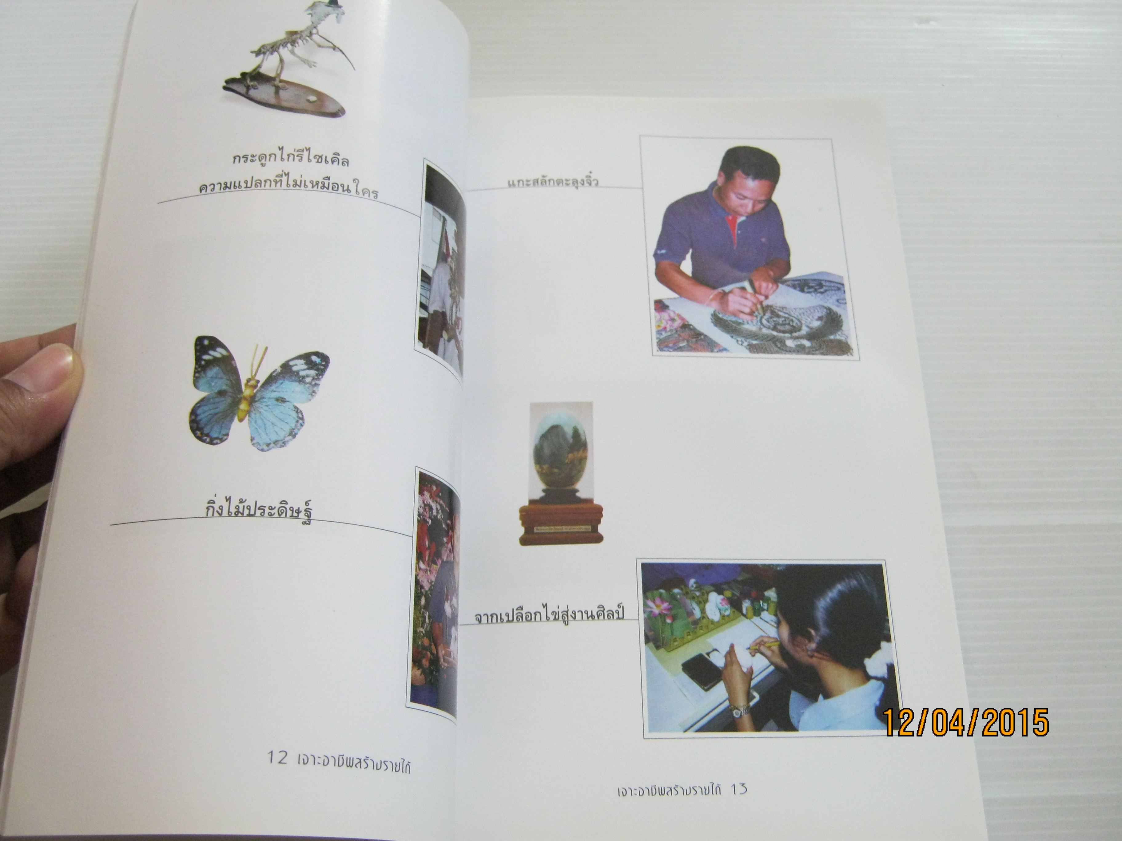 เจาะอาชีพ สร้างรายได้ เรียบเรียงโดย อักษรา อิงกมล