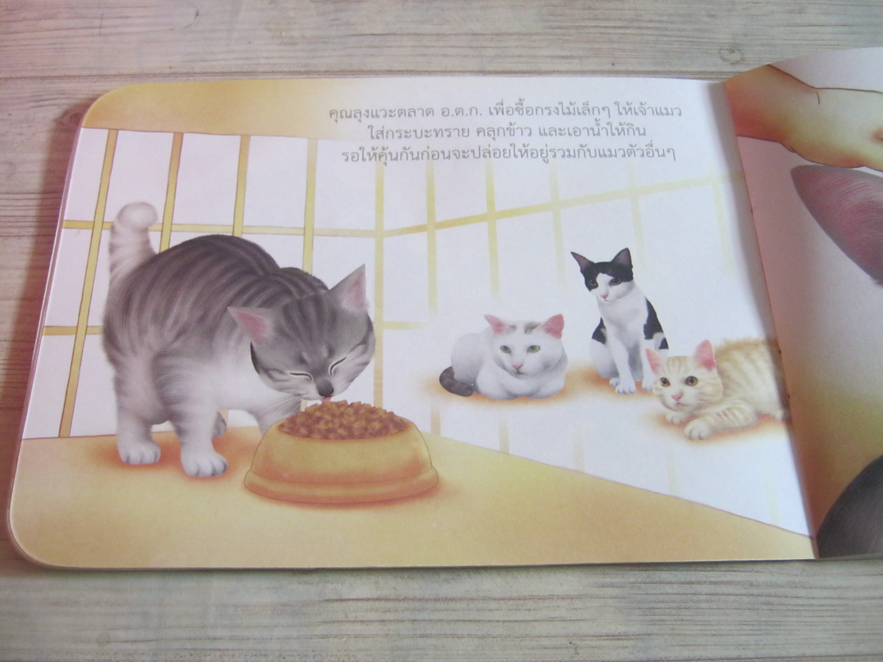 เหวิน เหวิน น้าเมฆ เรื่อง พี่พิมพ์ ภาพ