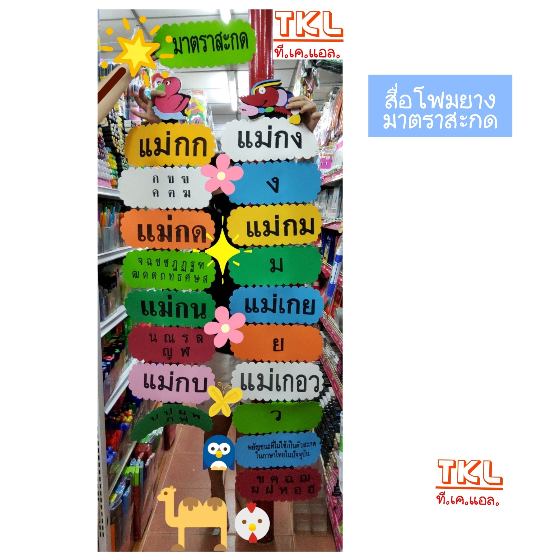 มาตราตัวสะกด สื่อการสอนโฟมยาง