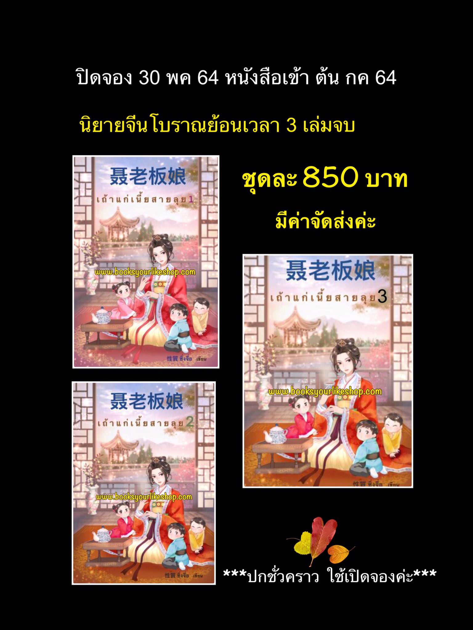 นิยายจีนชุด,เถ้าแก่เนี้ยสายลุย 3 เล่บจบ ,ผู้แต่ง,ซิ่งจื่อ,จีนโบราณทำมือ,สนุกแนะนำค่ะ