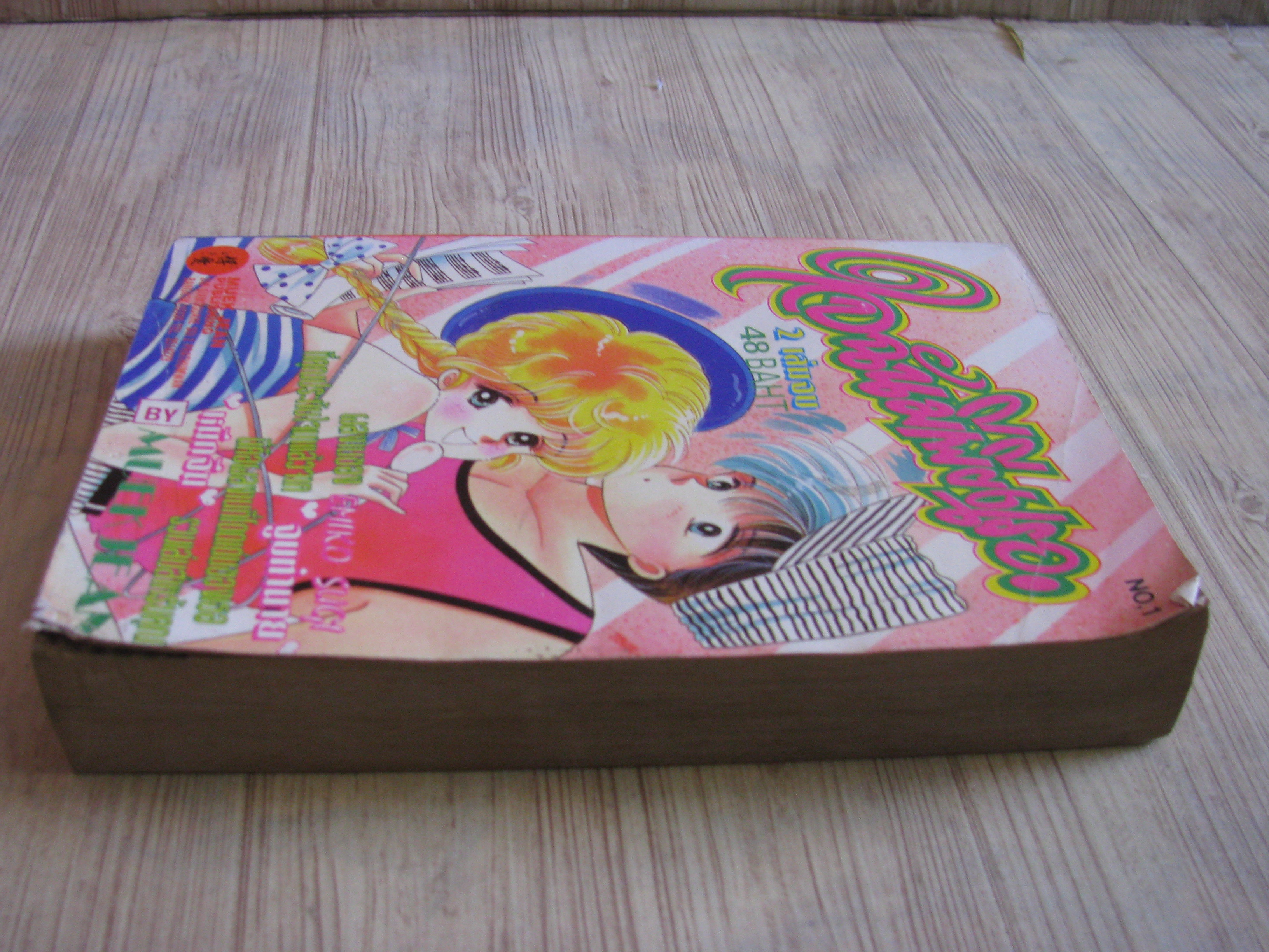 ใจฉันมีเพียงเธอ เล่ม 1 (2 เล่มจบ)