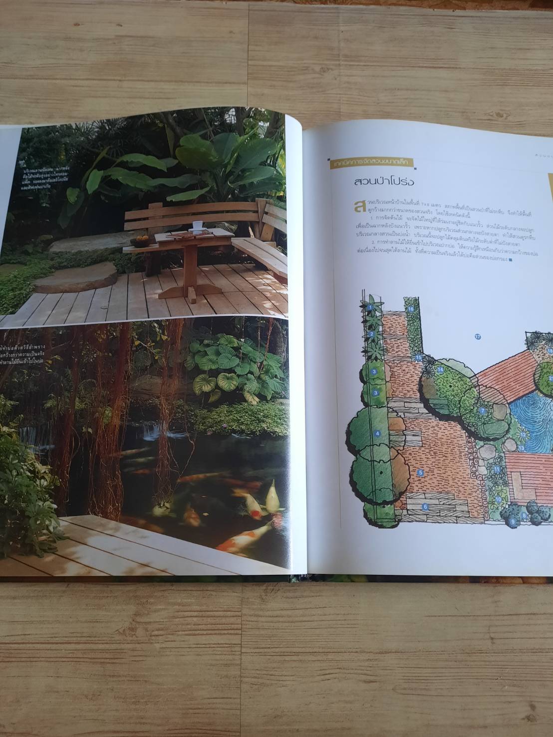 สวนในบ้าน เล่ม 12 สวนขนาดเล็ก พิมพ์ครั้งที่ 7 โดย กองบรรณาธิการสำนักพิมพ์บ้านและสวน