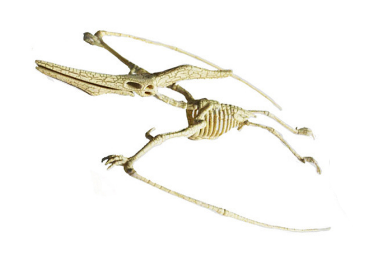 ของเล่นชุดขุดฟอสซิลโครงกระดูกไดโนเสาร์สำหรับเด็ก