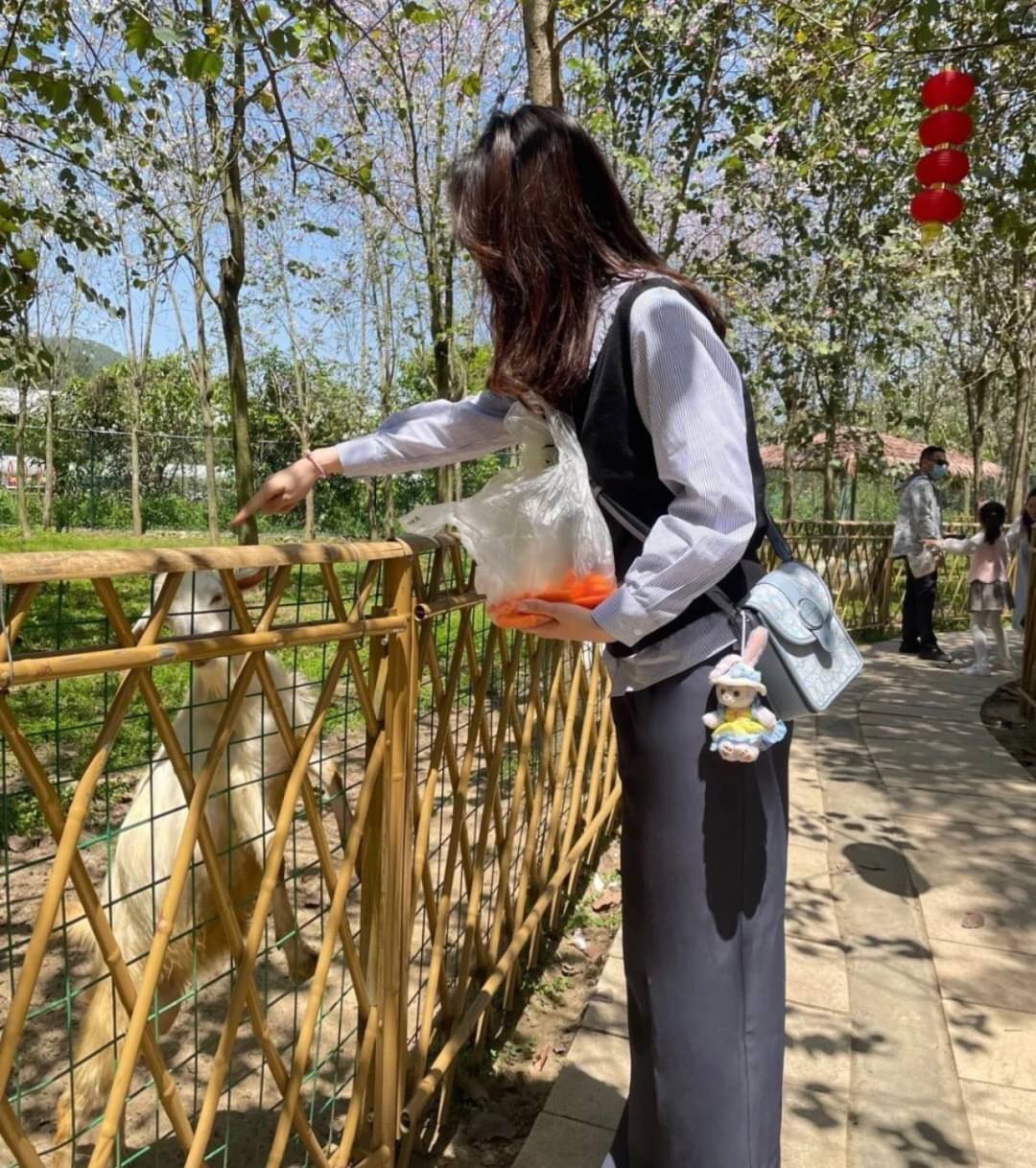 COACH North/South Lonnie Crossbody In Signature Jacquard C8321 ภาพสินค้าถ่ายจากงานขายจริง ใช้งานต่างประเทศได้