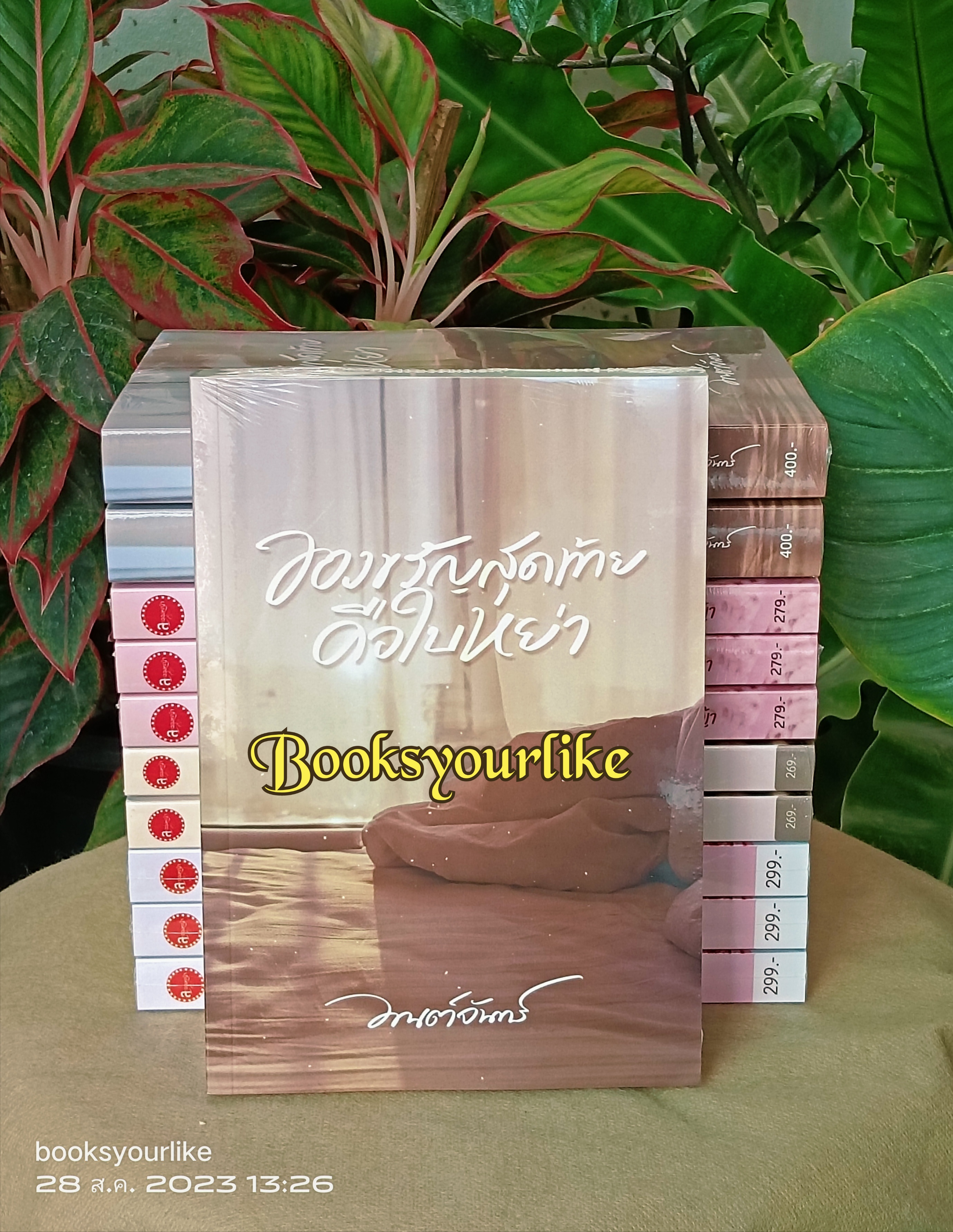 ของขวัญสุดท้ายคือใบหย่า,ผู้แต่ง,มนต์จันทร์,นิยายรักทำมือ แนะนำค่ะ