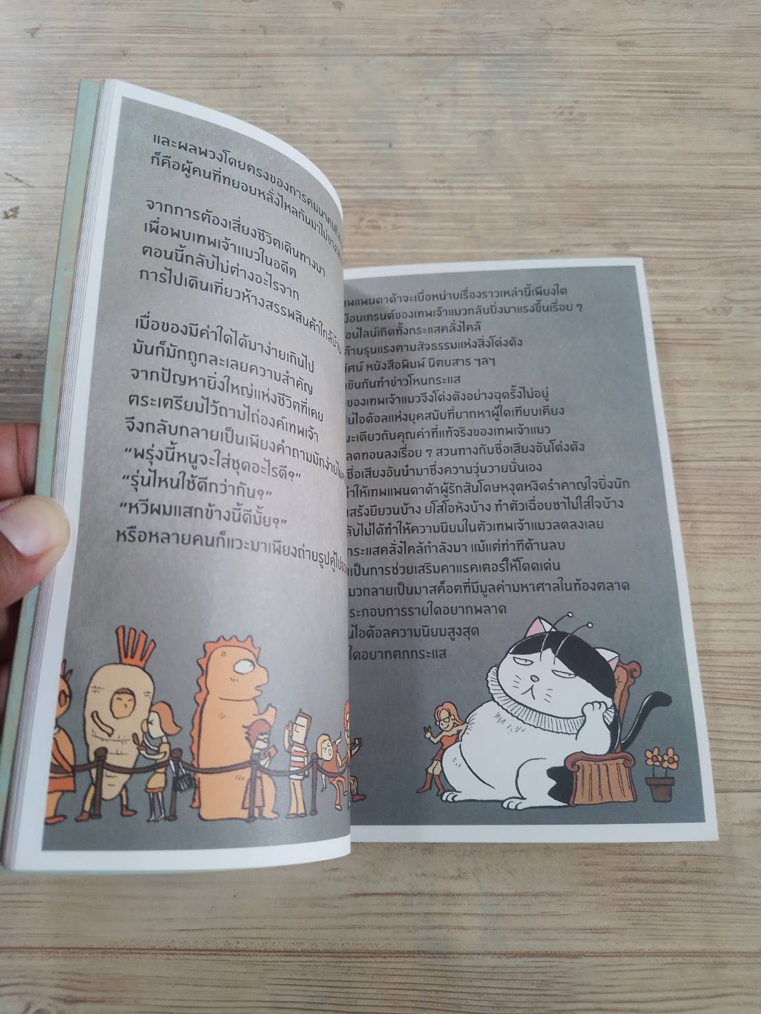 เทพเจ้าแมว Pandada องอาจ ชัยชาญชีพ เรื่องและภาพ