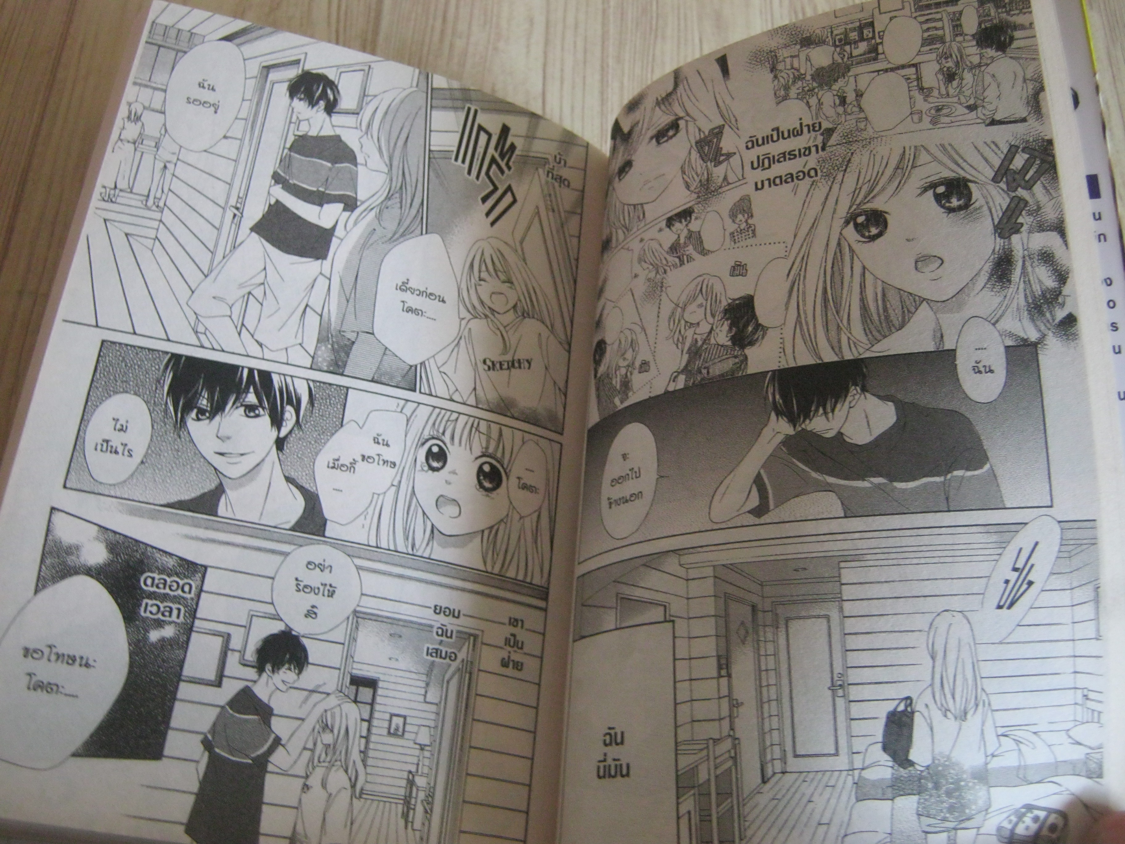 17 ปี รักนี้ให้เธอคนเดียว เล่มเดียวจบ Hisa Kyomachi เขียน