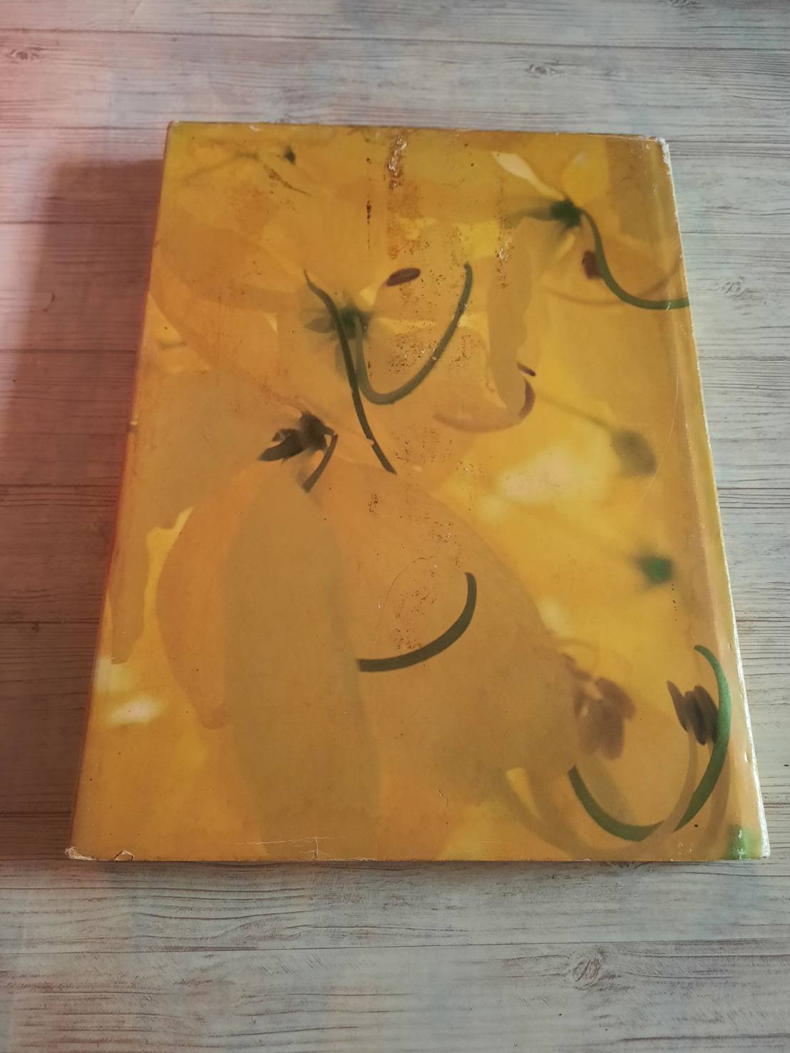 พรรณไม้ในสวนหลวง ร.๙