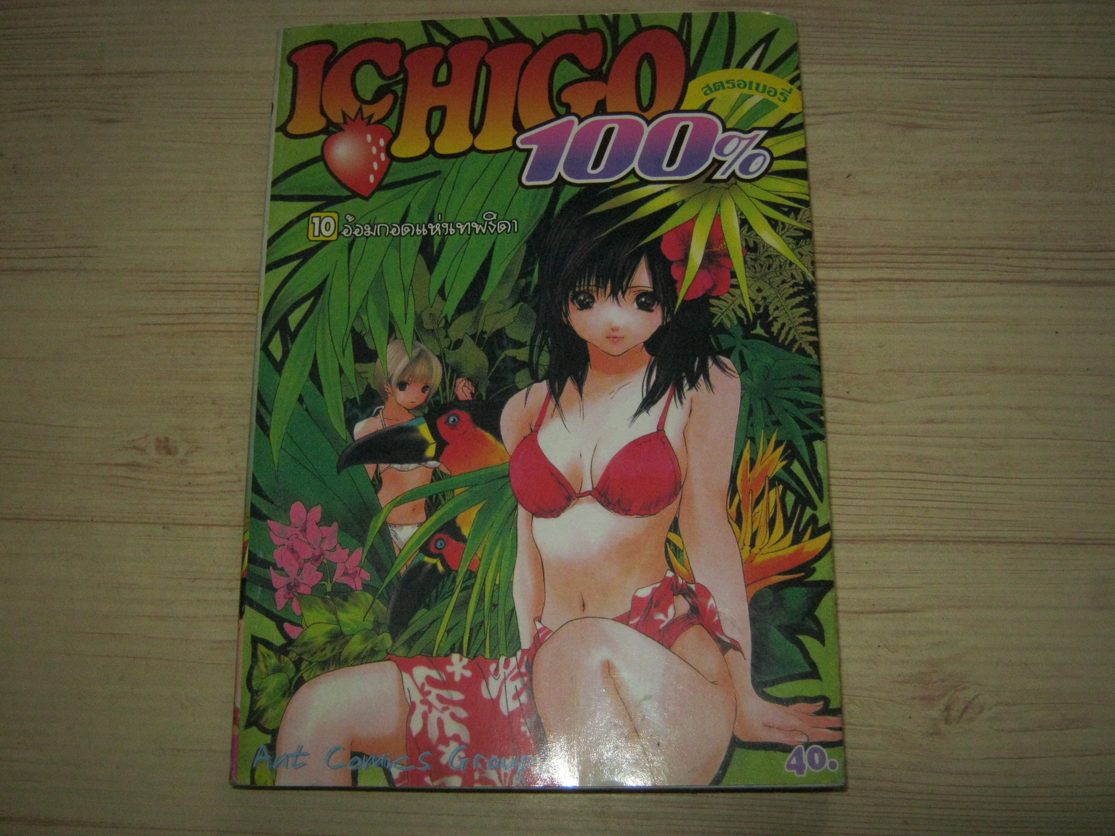 ICHIGO 100 % สตรอเบอรี่ เล่ม 10
