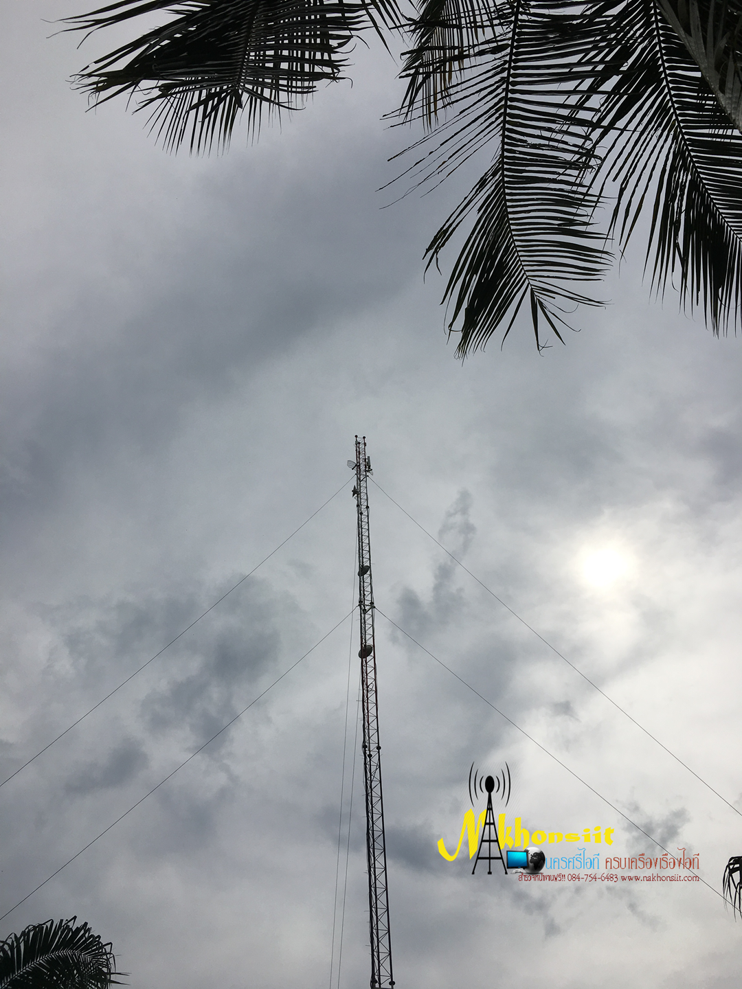 งานระบบ link PTP,PTM เครือข่ายไร้สาย