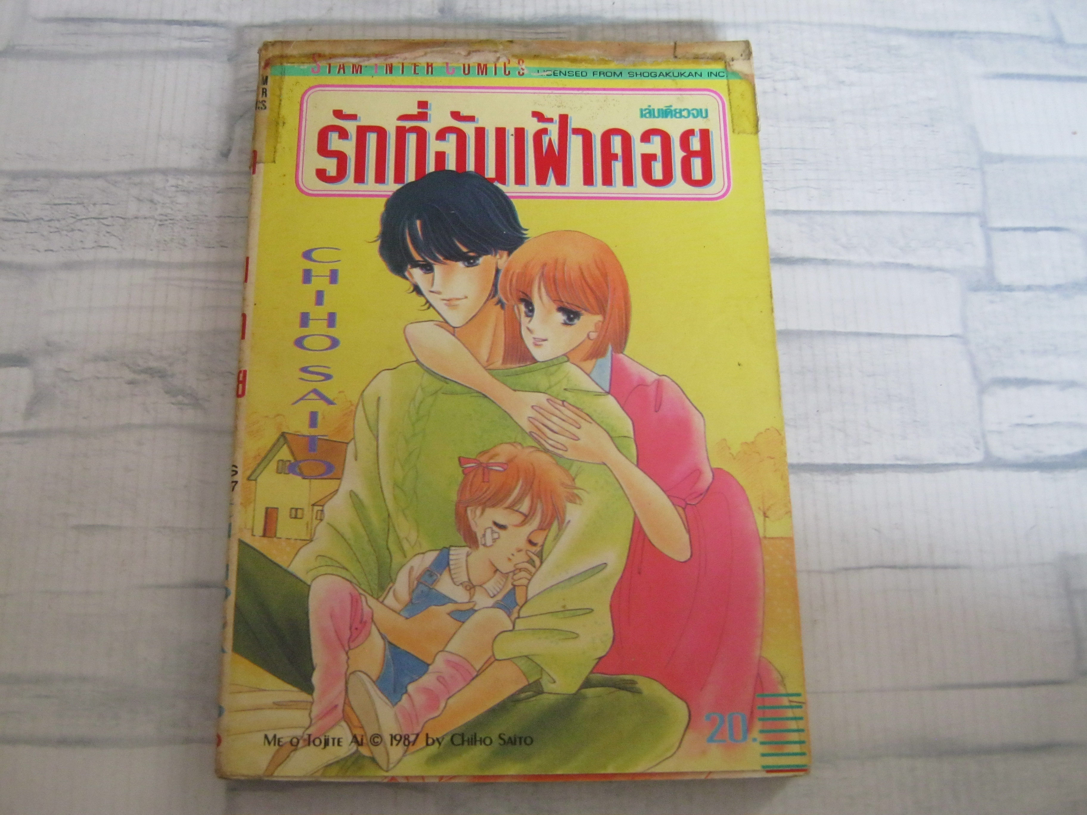 รักทีฉันเฝ้าคอย เล่มเดียวจบ ไซโต จิโฮ เขียน***สินค้าหมด***