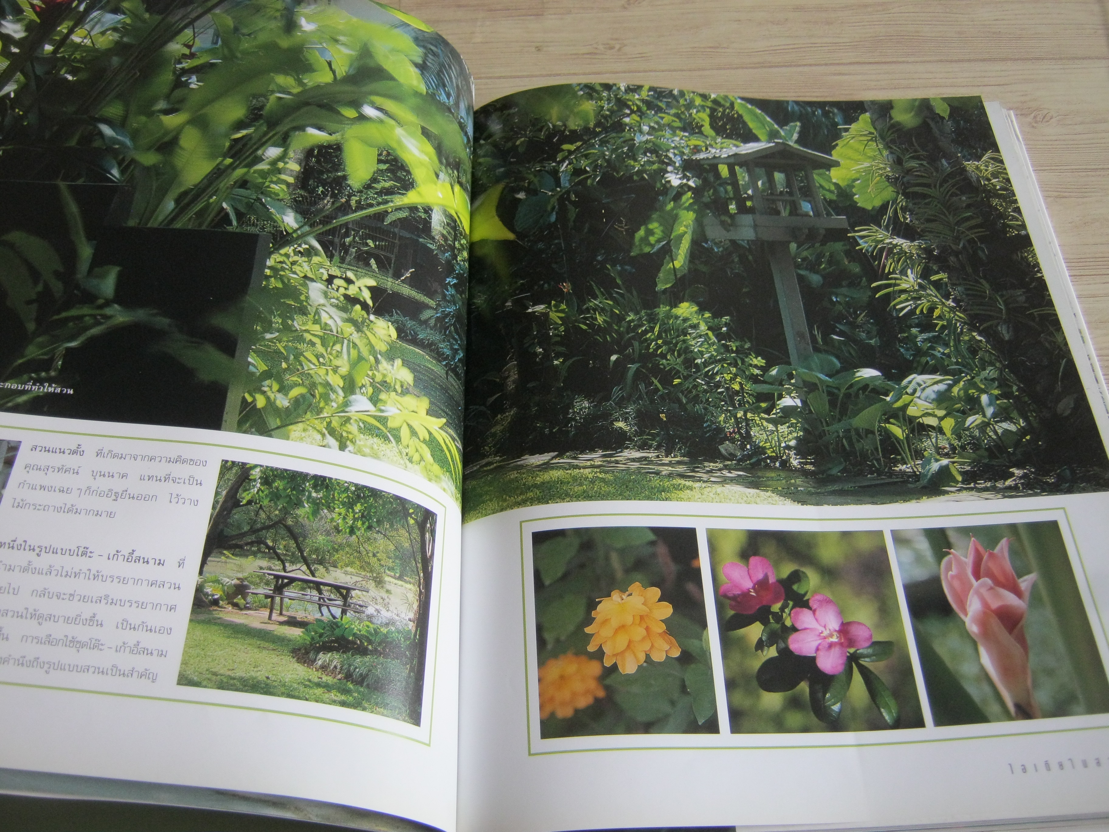 สวนในบ้าน เล่ม 8 ไอเดียในสวน โดย กองบรรณาธิการนิตยสารบ้านและสวน