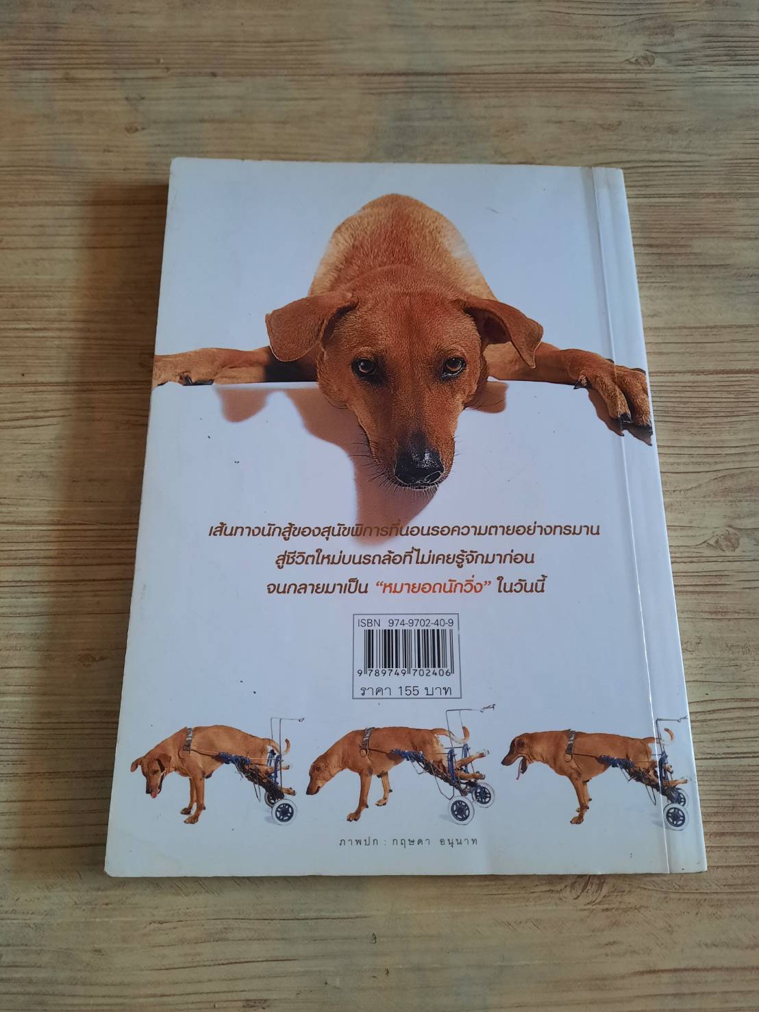 น้ำตาลหมายอดนักวิ่ง อาจารย์นักวิ่ง เขียน