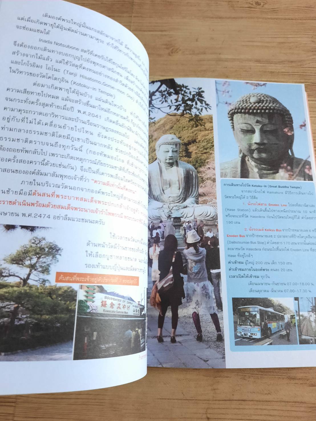 ใคร ๆ ก็ไปเที่ยวญี่ปุ่น เมื่อซากุระบานทั่วบ้านทั่วเมือง อดิศักดิ์ จันทร์ดวง เรื่องและภาพ