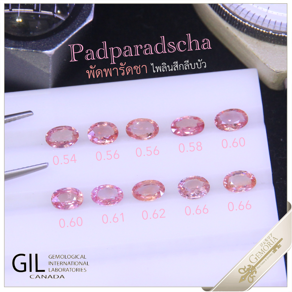 Padparadscha พัดพารัดชา 🌺 ไพลินสีกลีบบัว ยามต้องแสงอาทิตย์อัสดง ไพลินสีที่หายากที่สุด