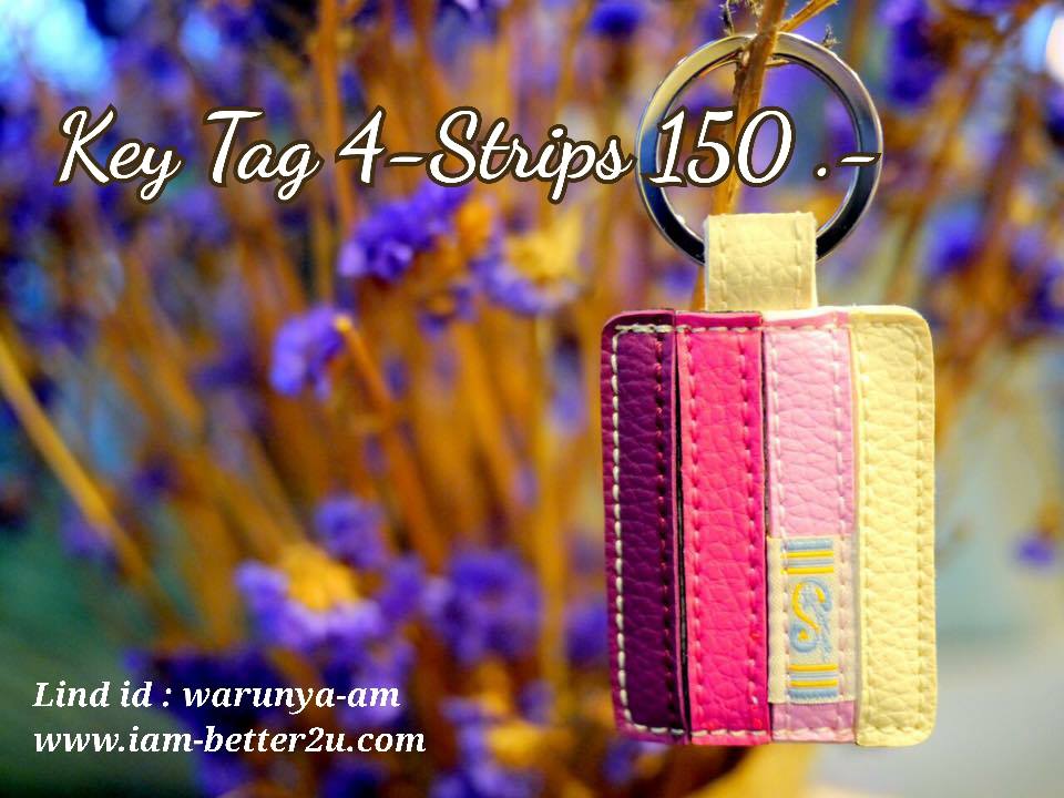 Key Tag รุ่น 4-Strips