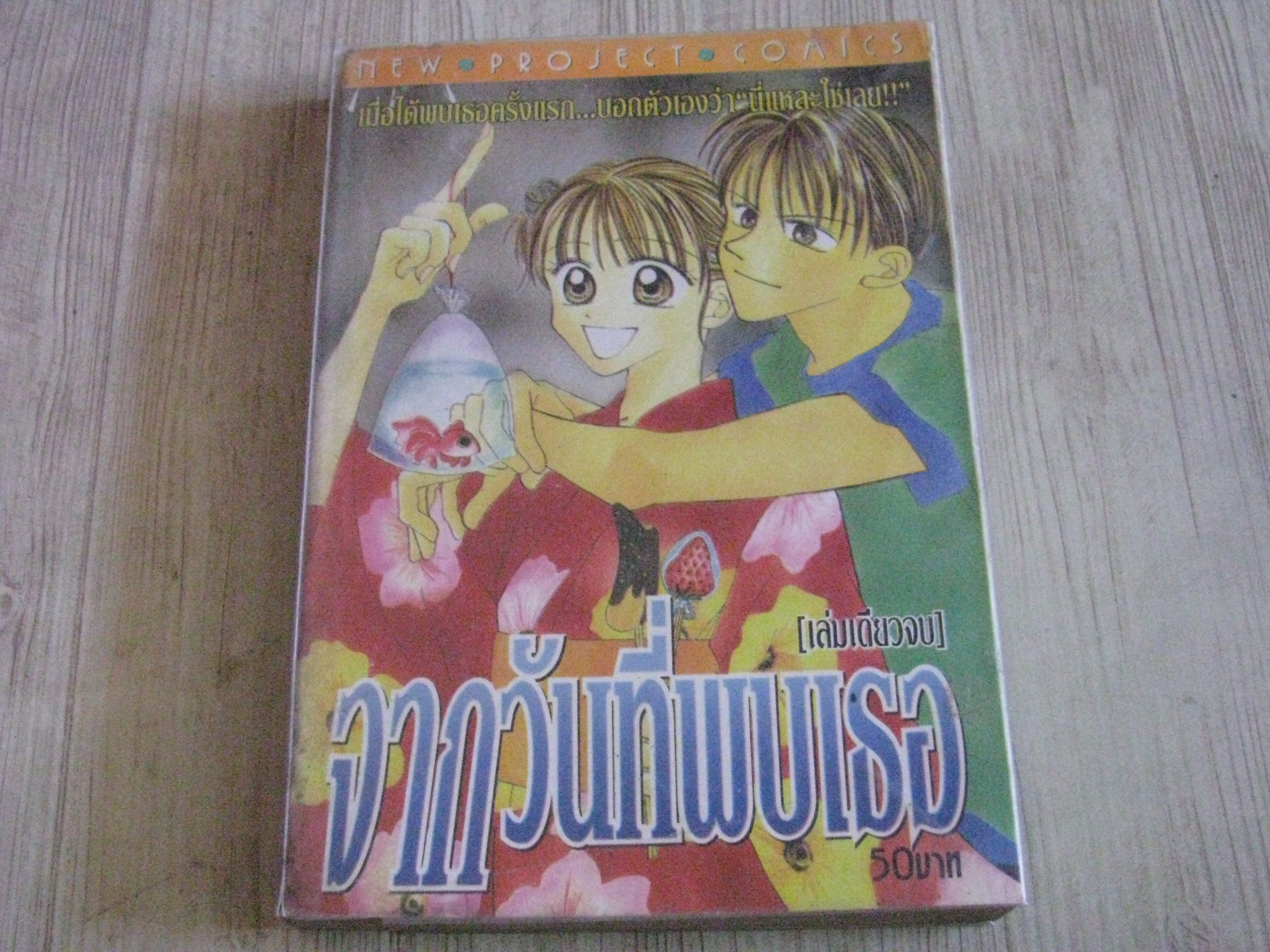 จากว้นที่พบเธอ เล่มเดียวจบ
