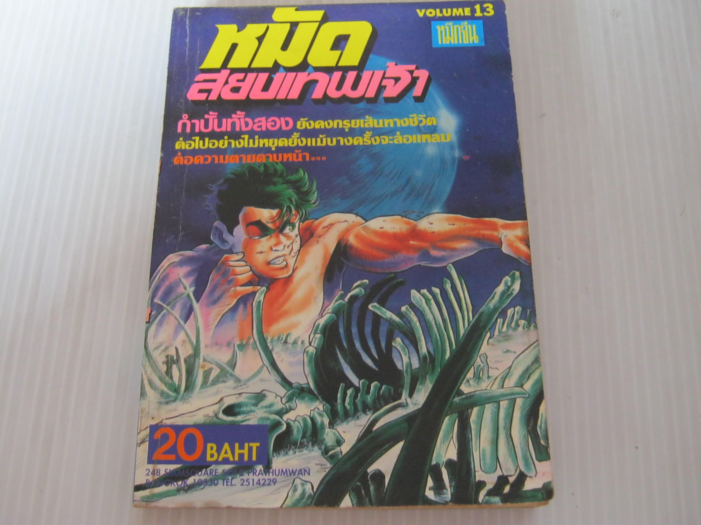 หมัดสยบเทพเจ้า เล่ม 13***สินค้าหมด***