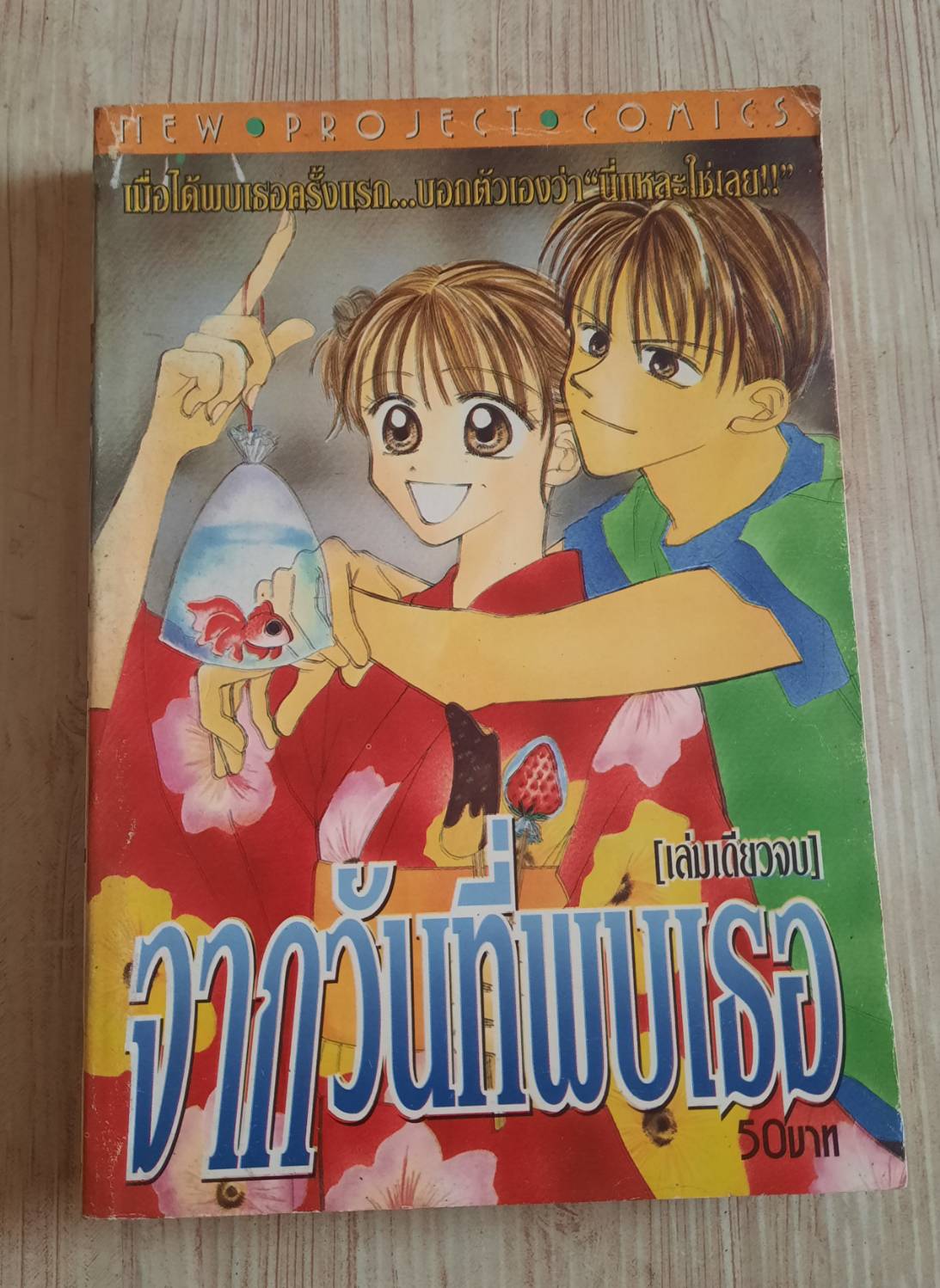 จากวันที่พบเธอ เล่มเดียวจบ