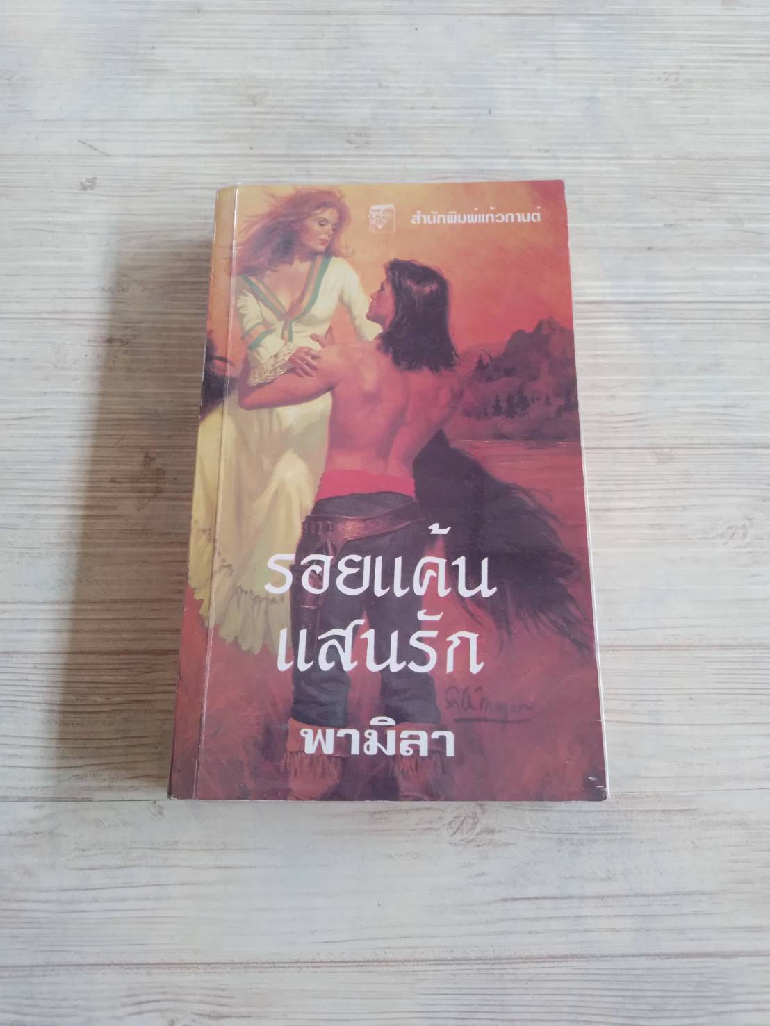 รอยแค้นแสนรัก (My Savage Heart) คริสติน ดอร์ซีย์ เขียน พามิลา แปล