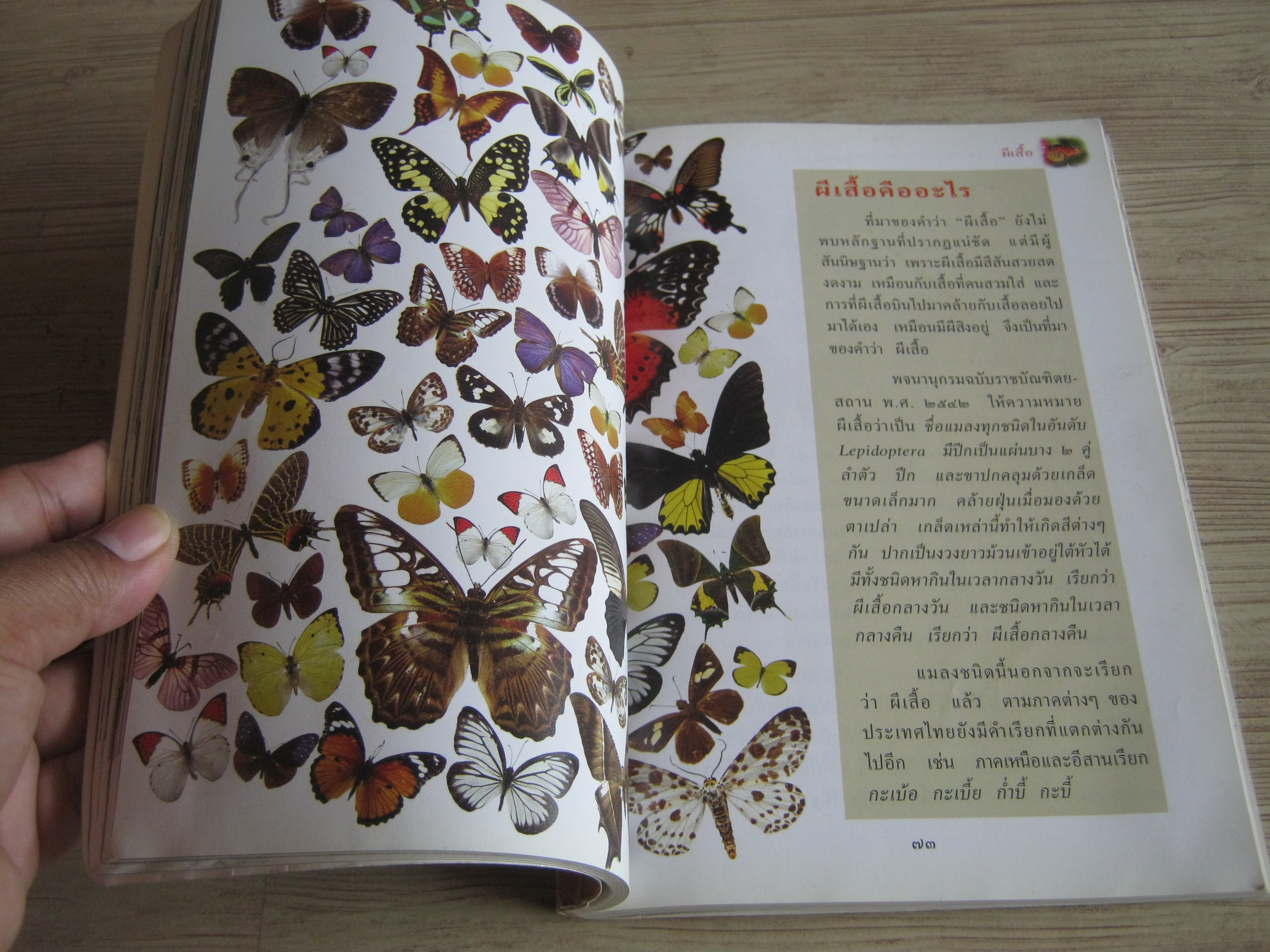 สารานุกรมไทยสำหรับเยาวชน ฉบับเสริมการเรียนรู้ เล่ม ๗ นก ผีเสื้อ ปลาสวยงาม