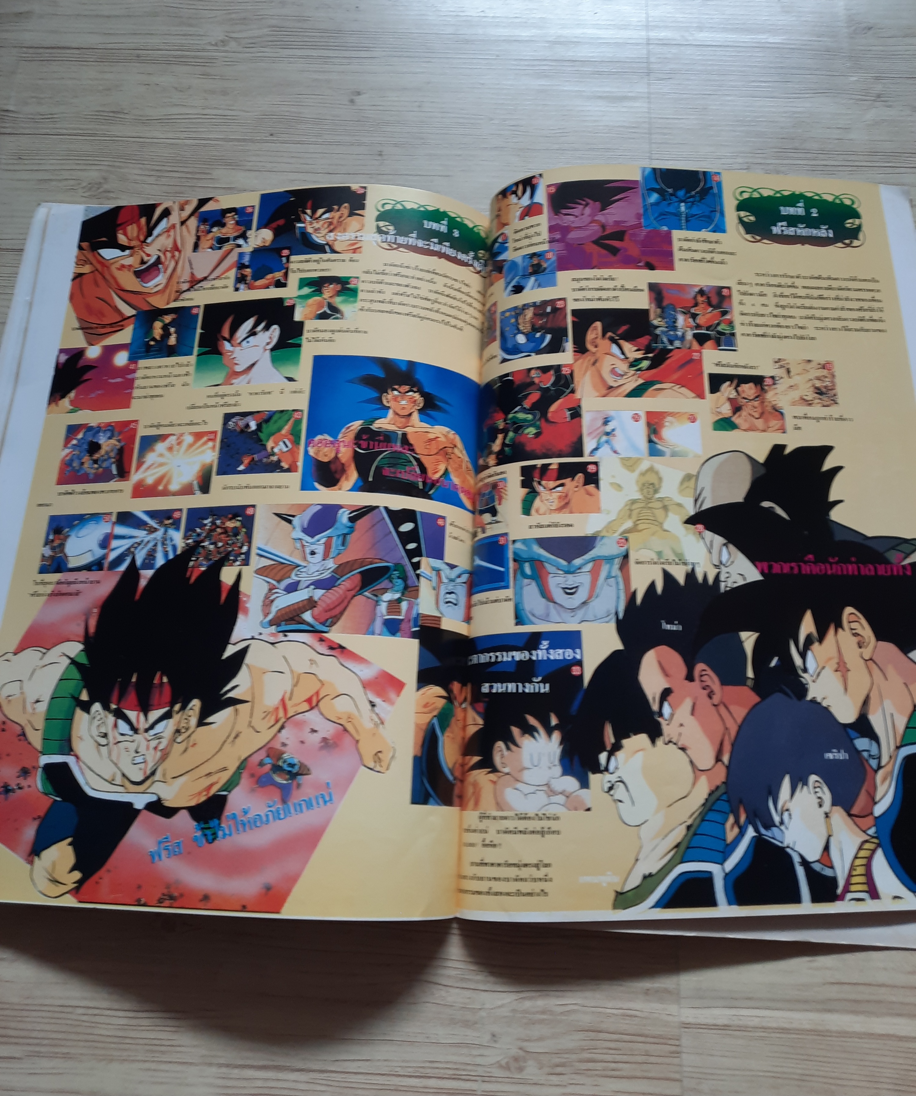 หนังสือรวมภาพ DRAGONBALL Z (เล่มใหญ่)