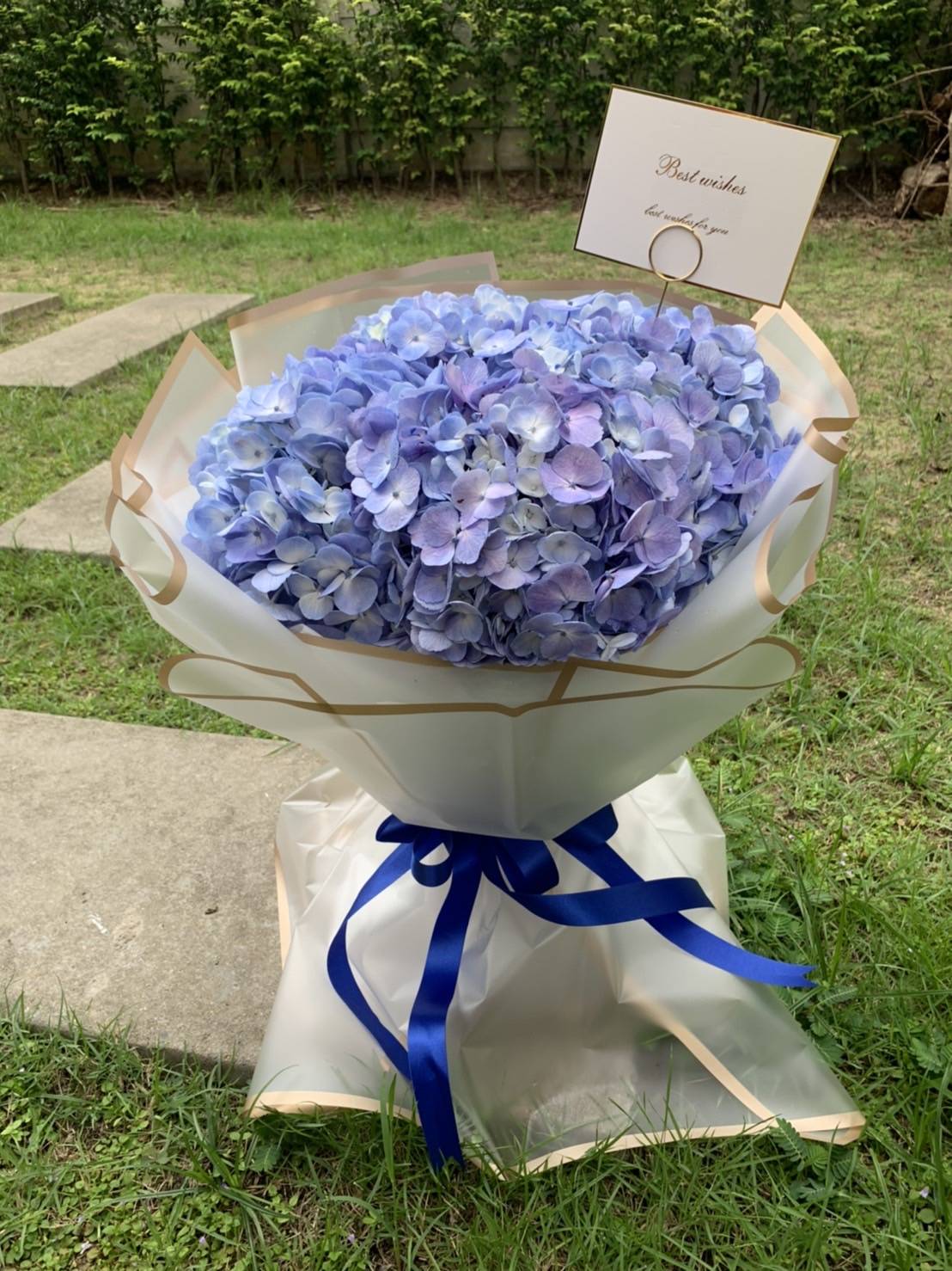 ช่อดอกไฮเดรนเยีย ช่อไฮเดรนเยียสีฟ้า