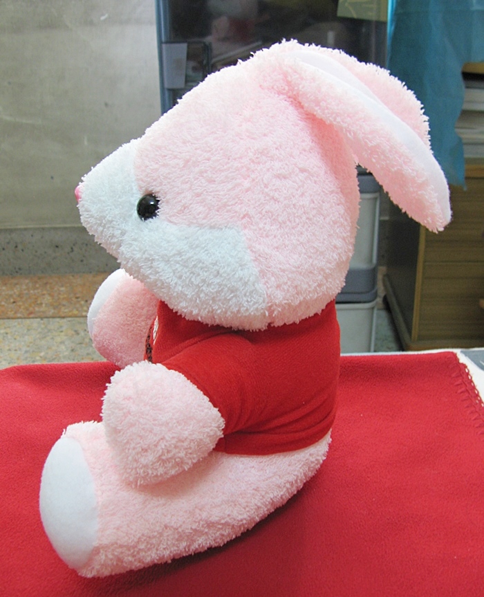 สินค้าหมดค่ะ ตุ๊กตากระต่ายสีชมพู TOSHIBA ค่ะ