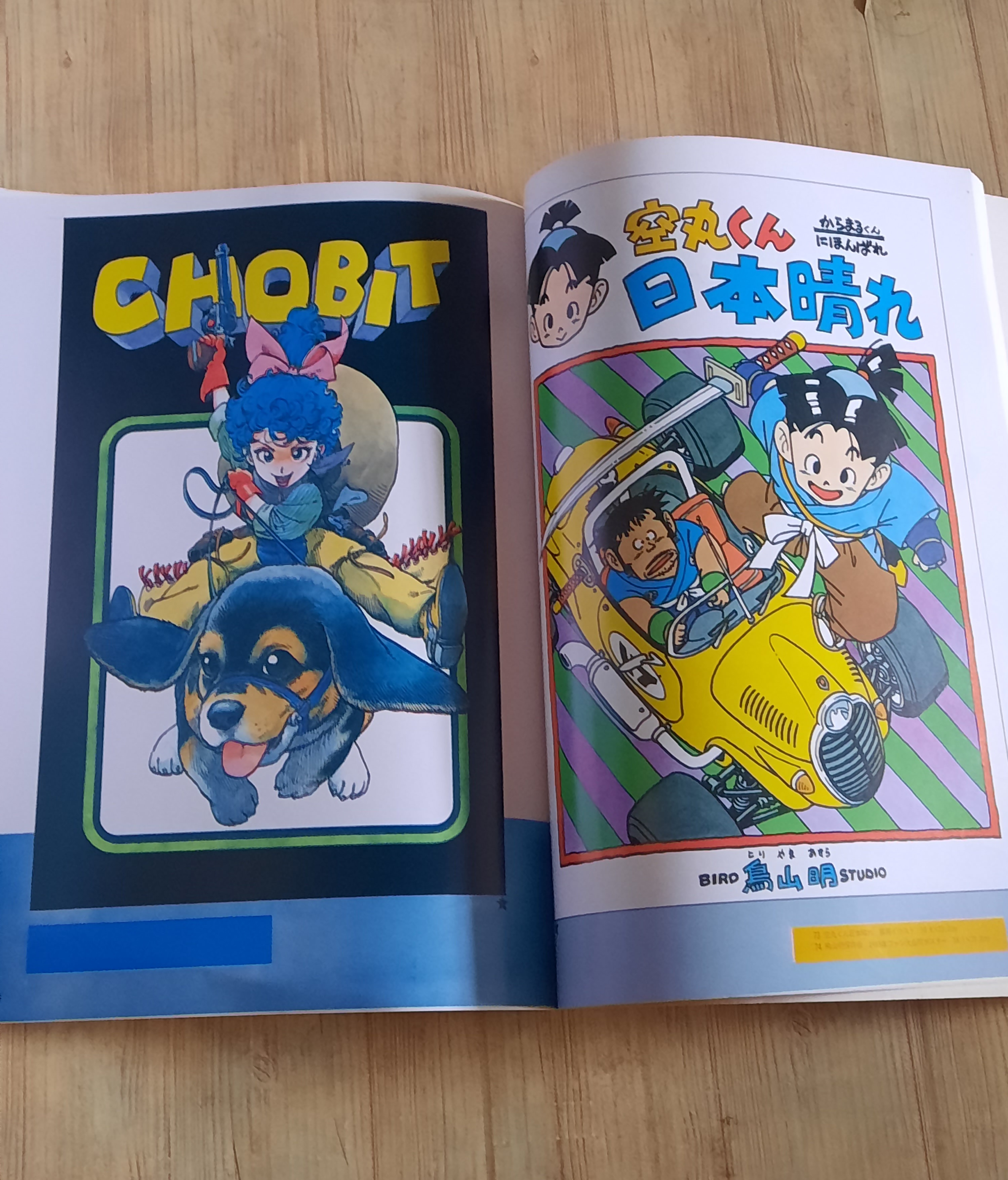 อัลบั้มภาพสีรวมผลงาน โทริยามะ อากิระ