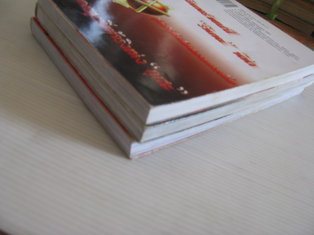 เนตรเพลิงชามะ 3 เล่มจบชุด Sasakura Ayato,Takahashi Yashichiro เขียน