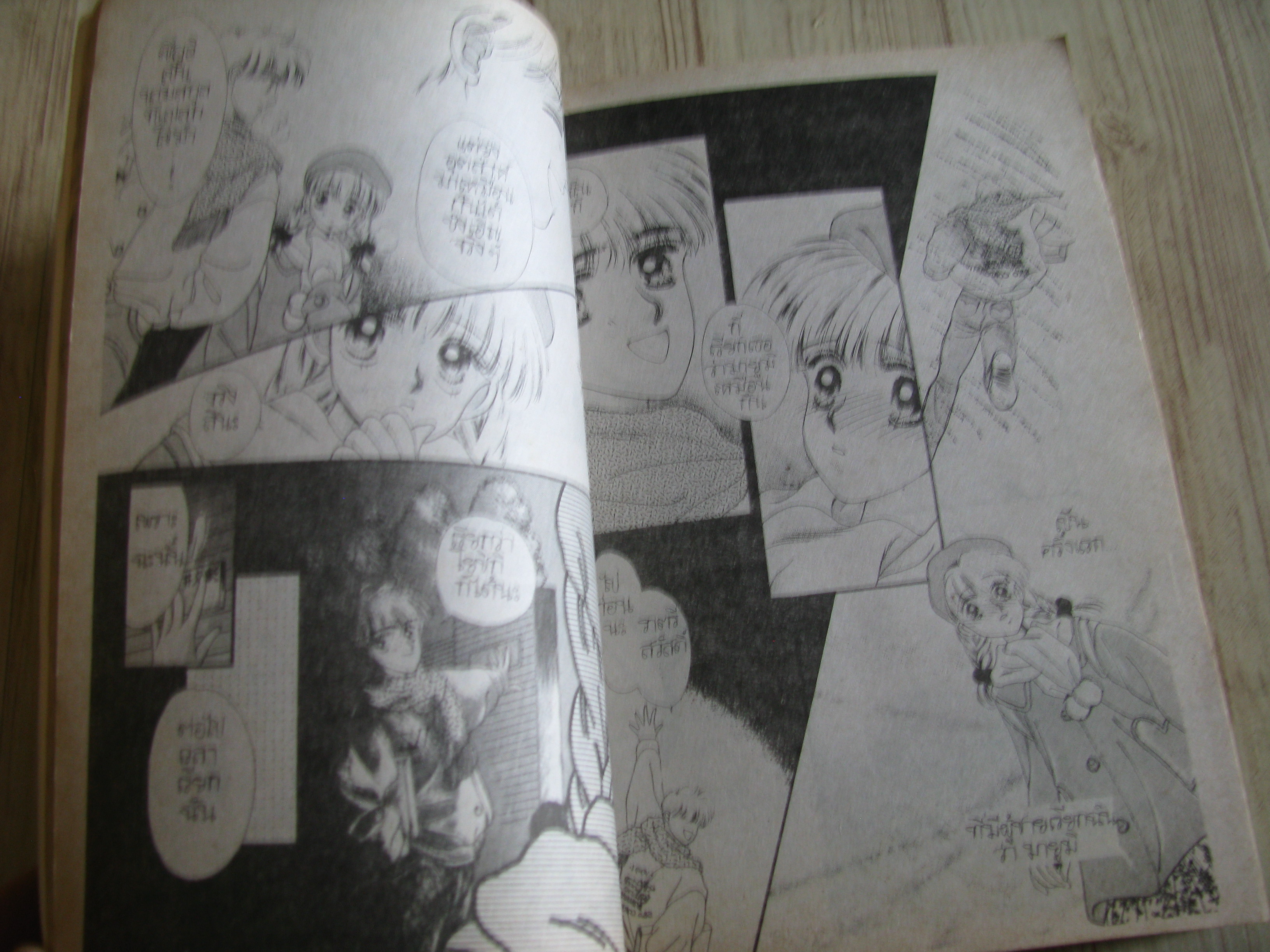 คู่แฝดลุ้นรัก เล่มเดียวจบ