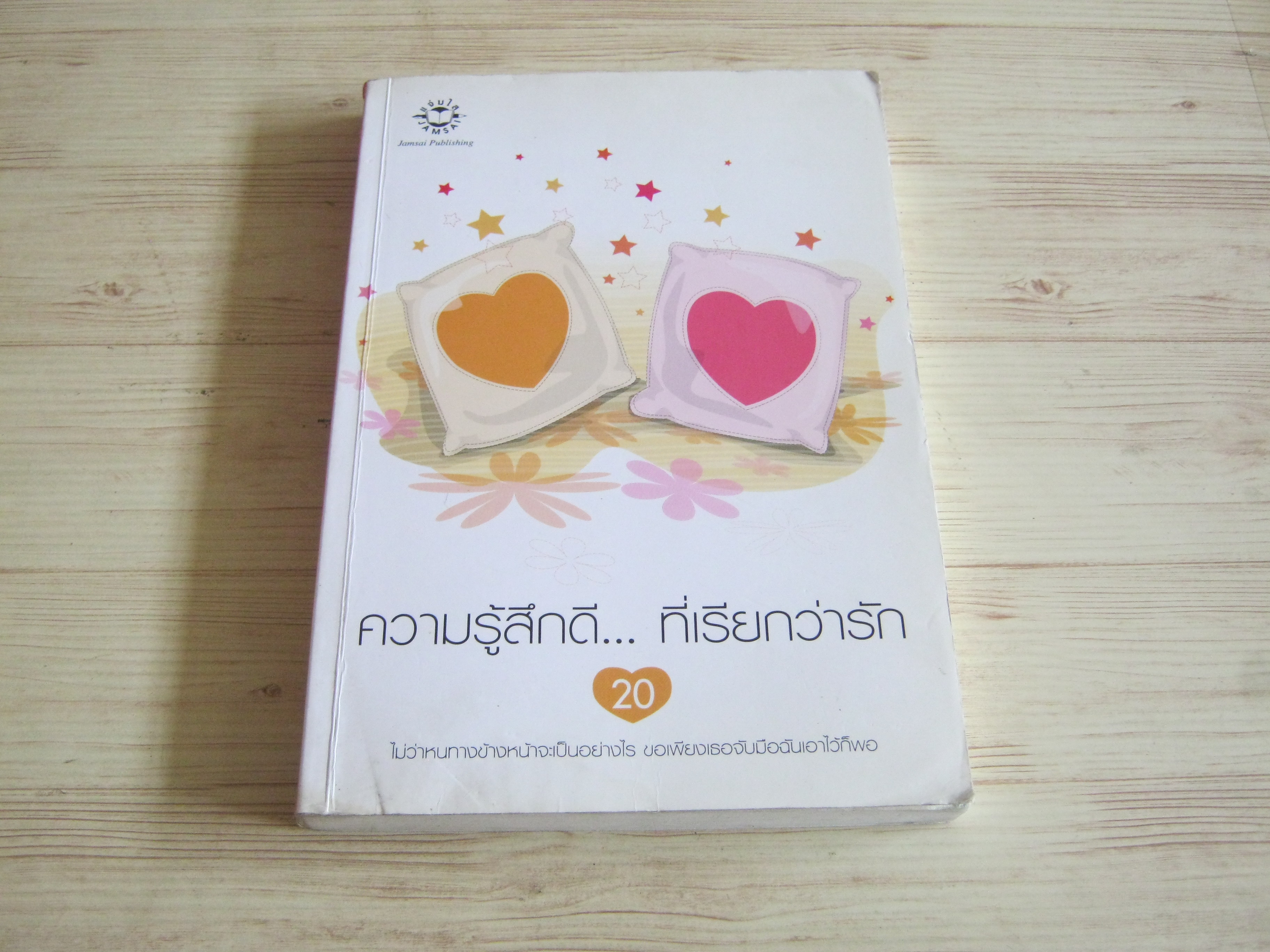 ความรู้สึกดี... ที่เรียกว่ารัก เล่ม 20 รวมนักเขียน***สินค้าหมด***