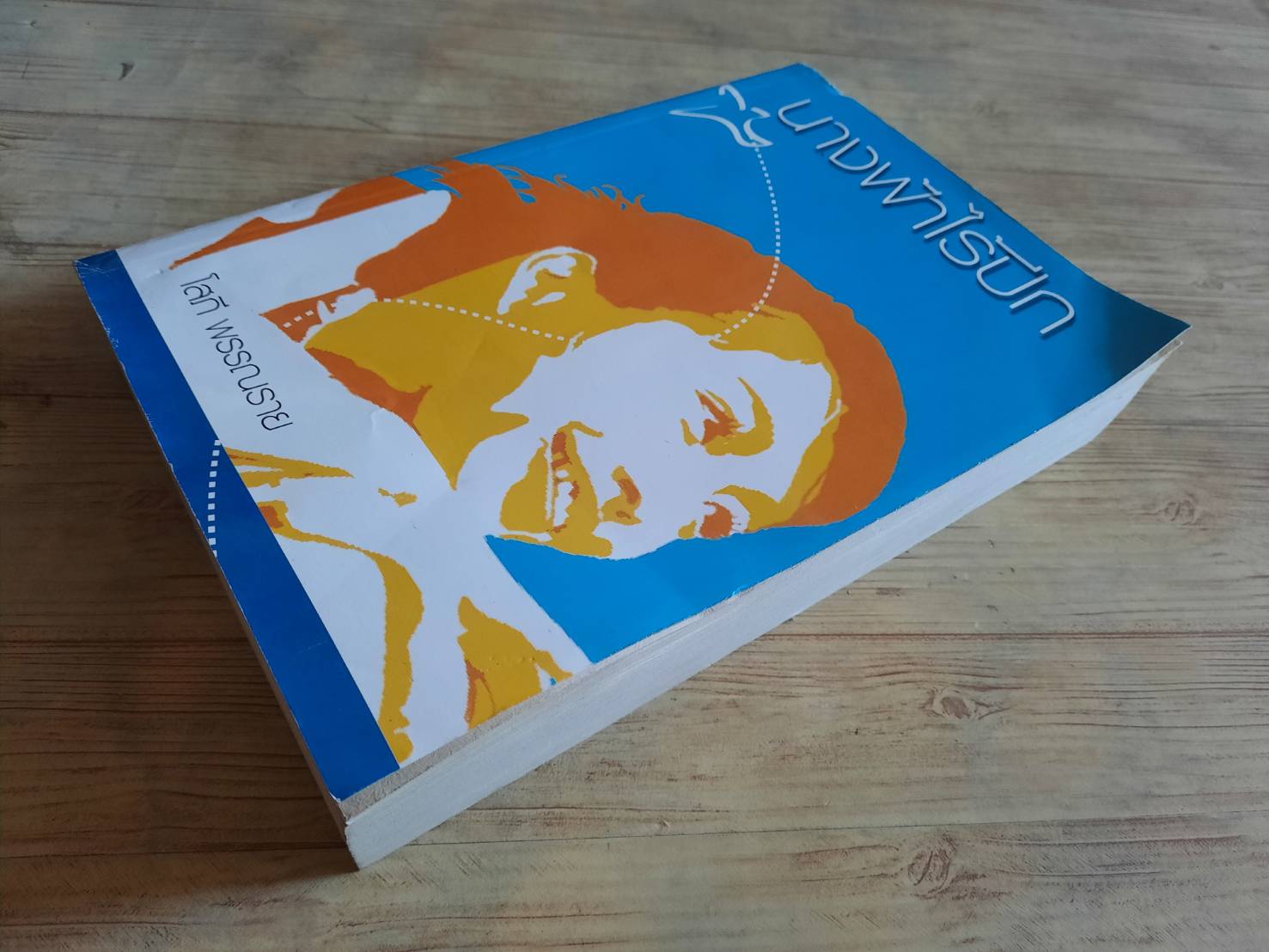 นางฟ้าไร้ปีก โสภี พรรณราย เขียน