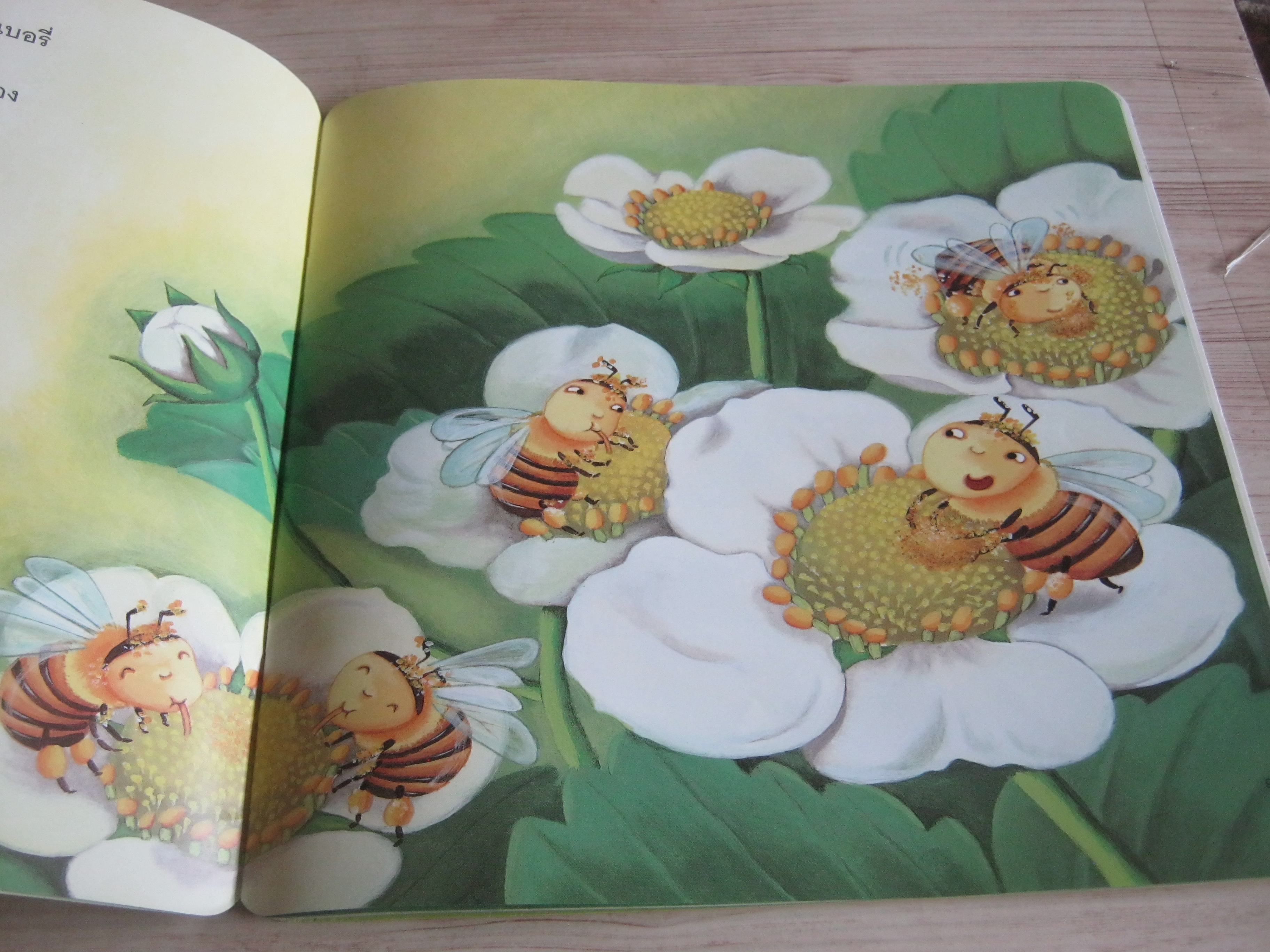 ปิ๊งป่อง ผึ้งน้อยช่างสงสัย พิมพ์ครั้งที่ 2 Irumi เรื่อง Yeakyung Park ภาพ ฐิติยา โรจน์สวัสดิ์สุข แปล