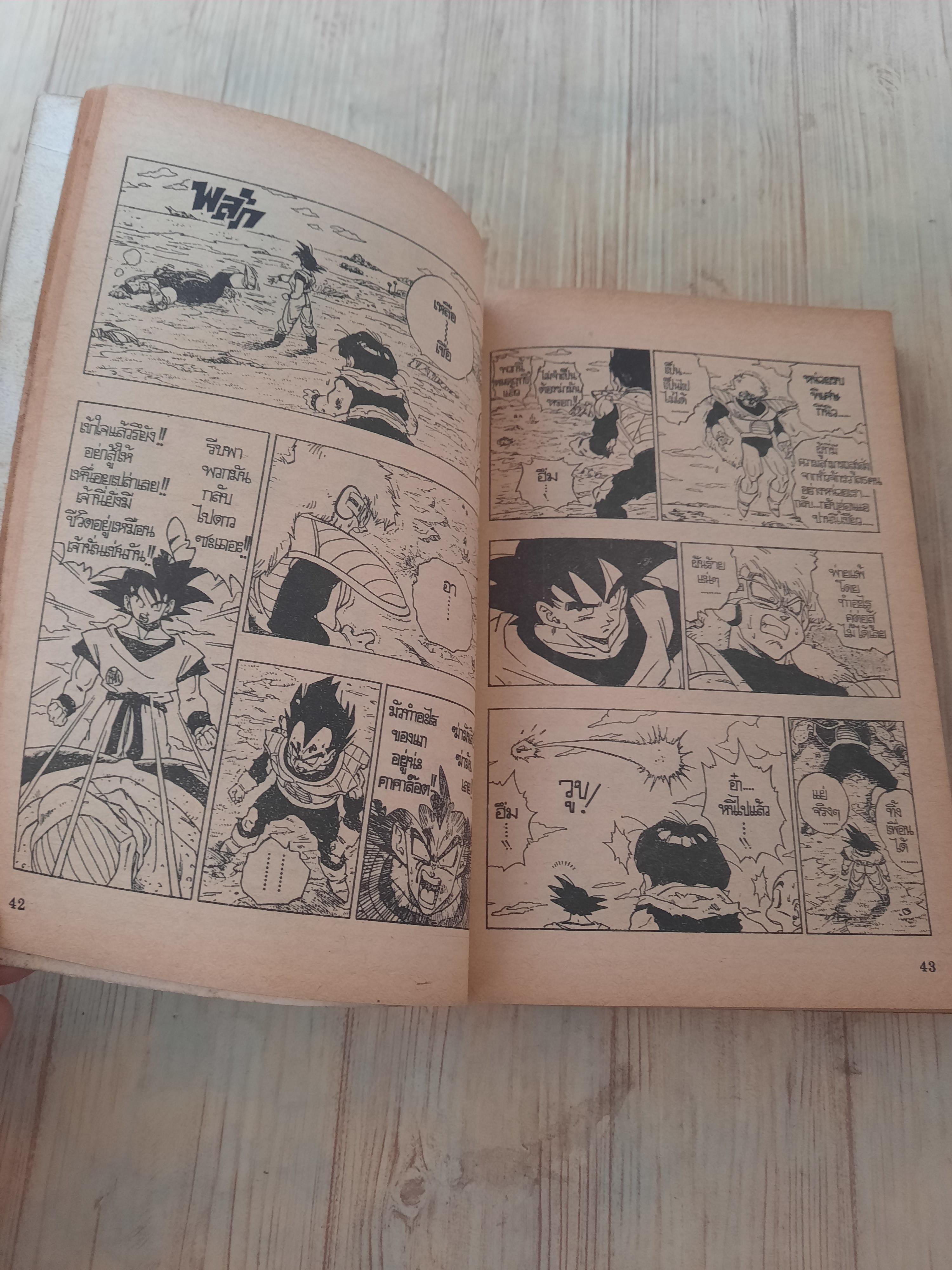 DRAGONBALL เล่ม 13