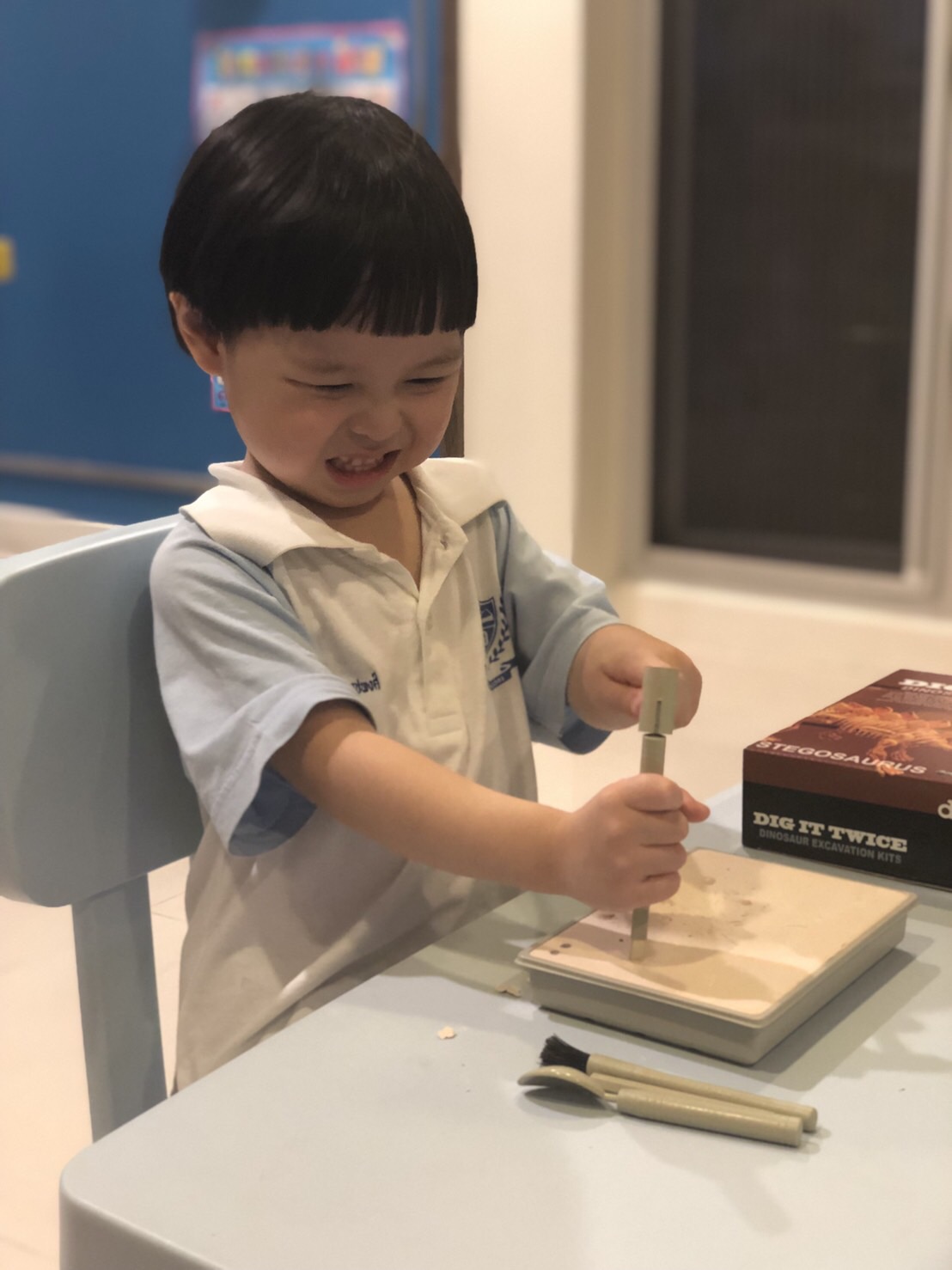 ชุดขุดฟอสซิลDig it Twice (แบบเล่นสองรอบ ขุดแล้วนำมาประกอบเป็นโมเดลได้)