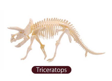 ของเล่นชุดขุดฟอสซิลโครงกระดูกไดโนเสาร์สำหรับเด็ก