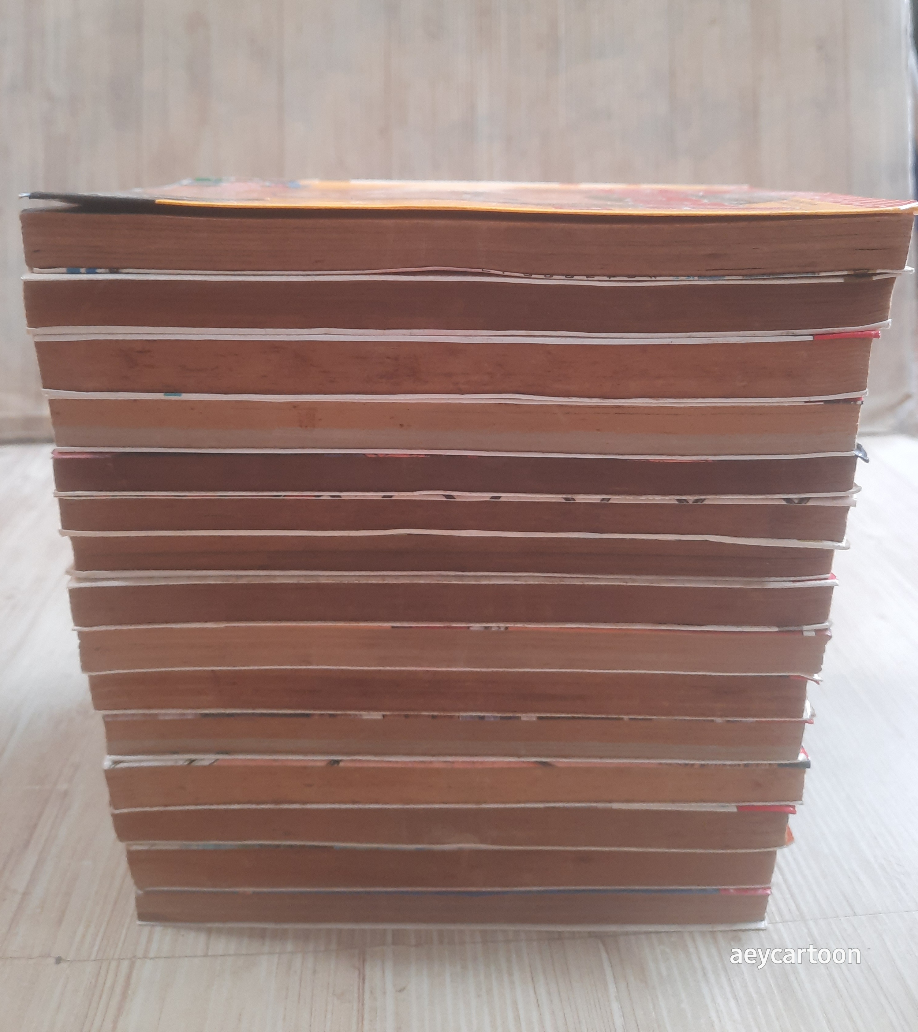 เรียกเขาว่า อีกา ! ชุด เล่ม 1-26 .(ขาดเล่ม 2,4,7,8,9,10,11,16,18,22,24 (26 เล่มจบ) ฮิโรชิ ทากาฮาชิ เรื่องและภาพ